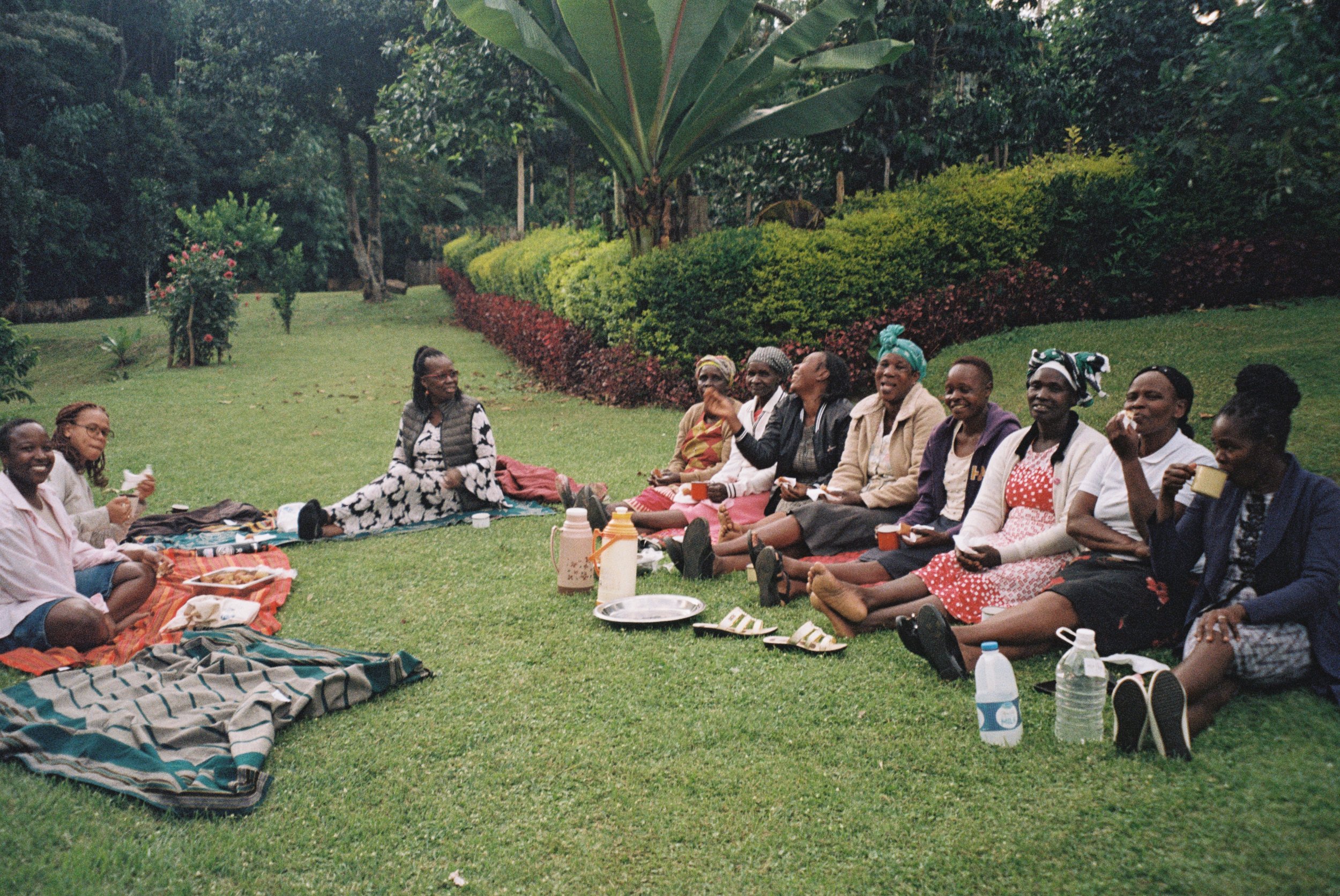 Group of women sitting on the grass having a picnic in a garden with lush green trees and colorful plants.