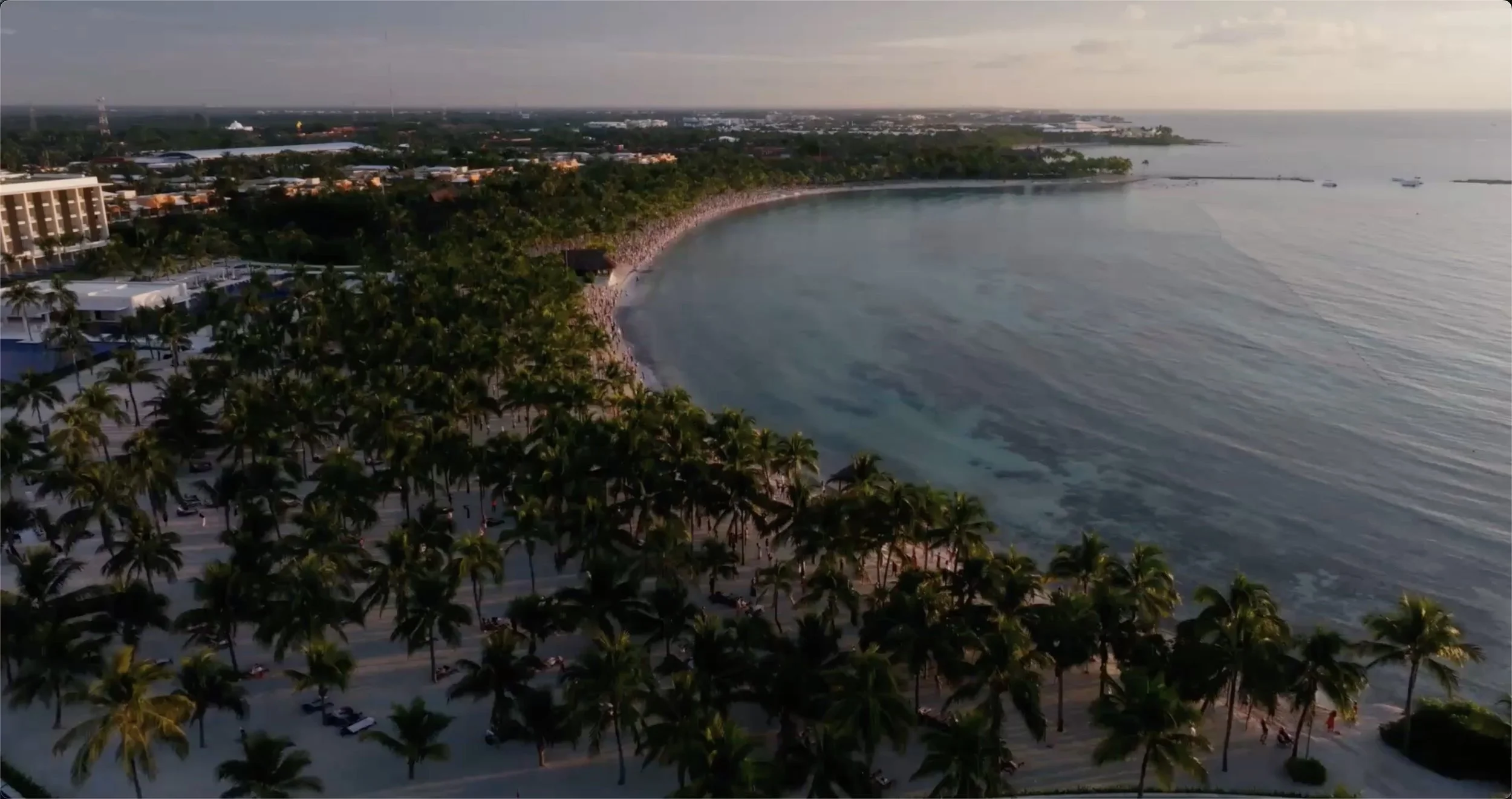 Screenshot 2026-02-08 at 6.17.58 PM.jpg