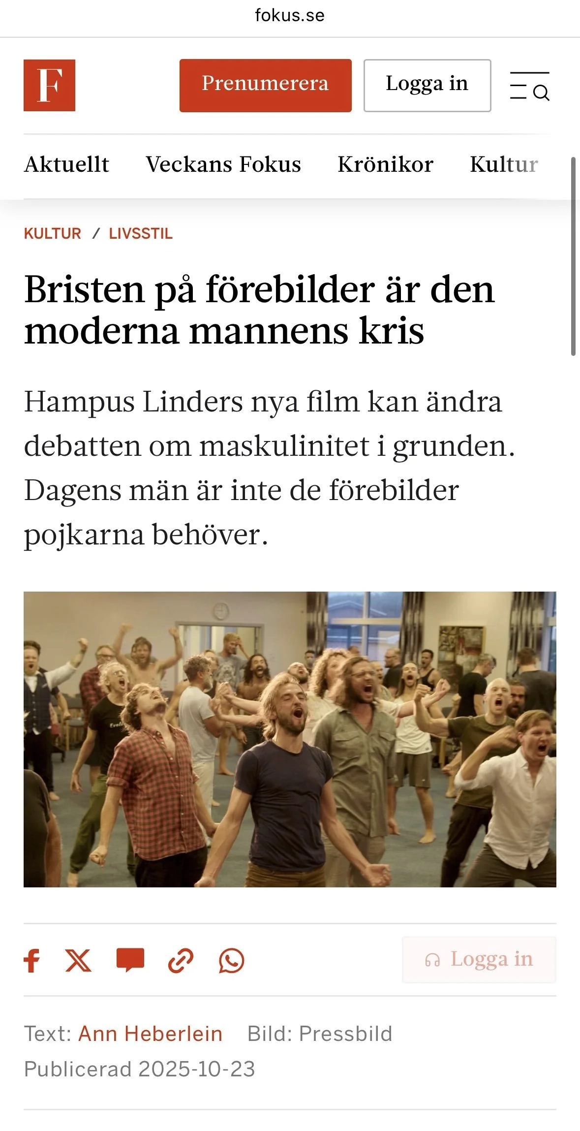 Artikel Fokus