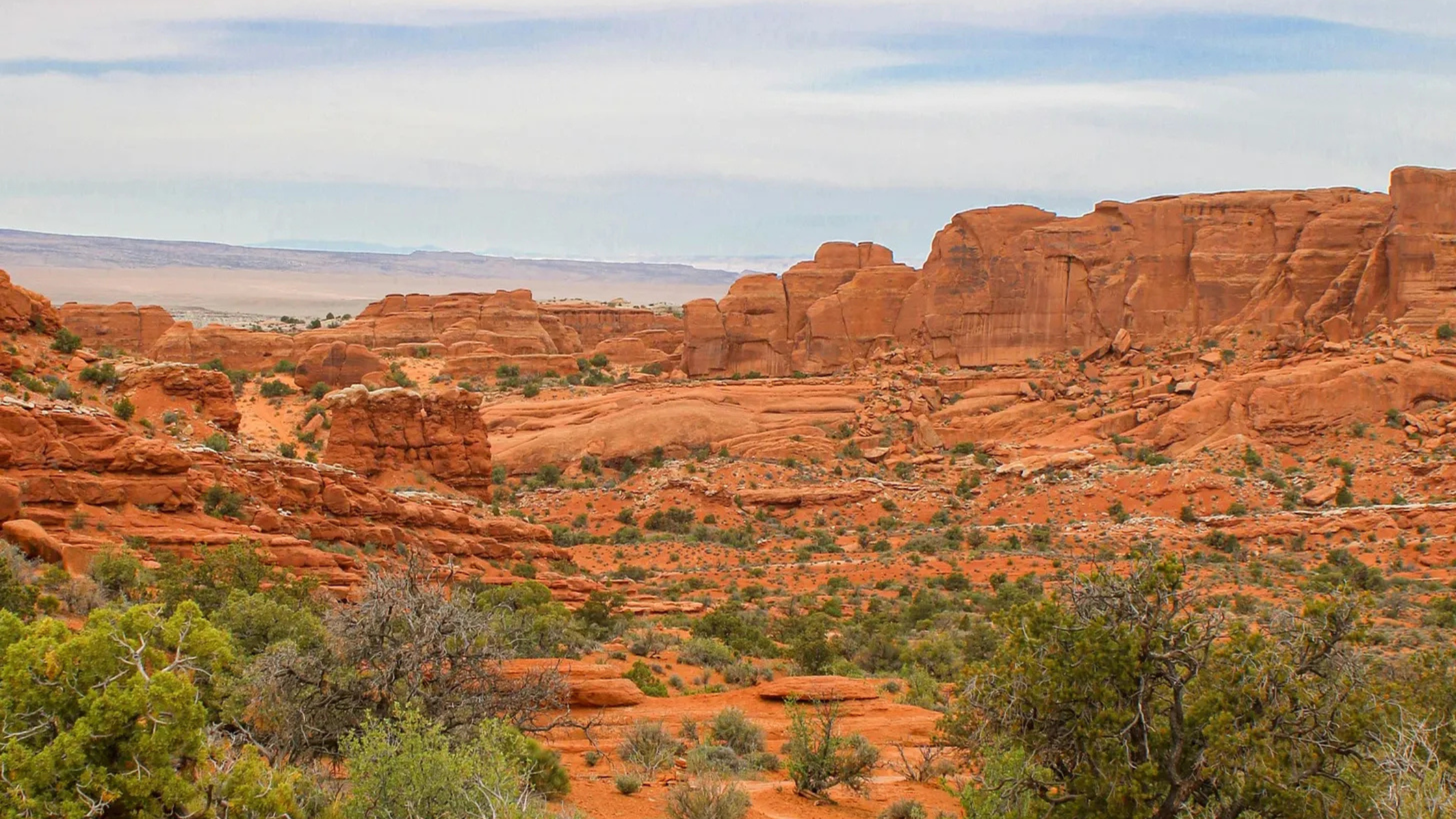 The Road Runner's Guide to Breaking Barriers