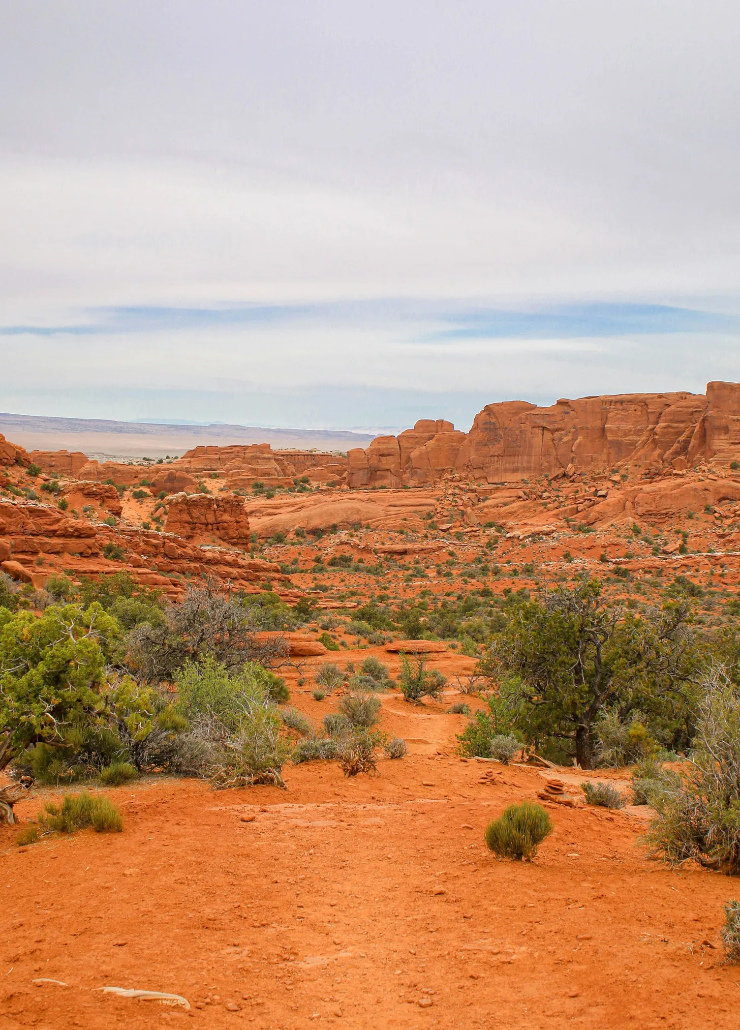 orange canyons with green shrubbery and blue skies