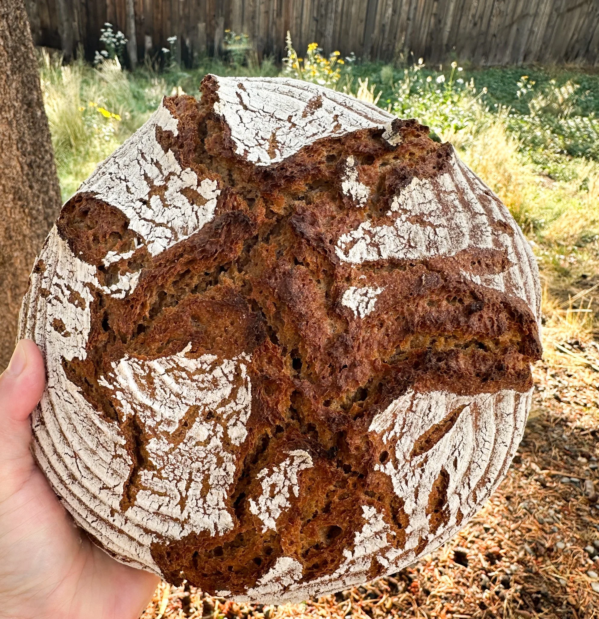 Roggenbrot, traditional German sourdough Rye Bread