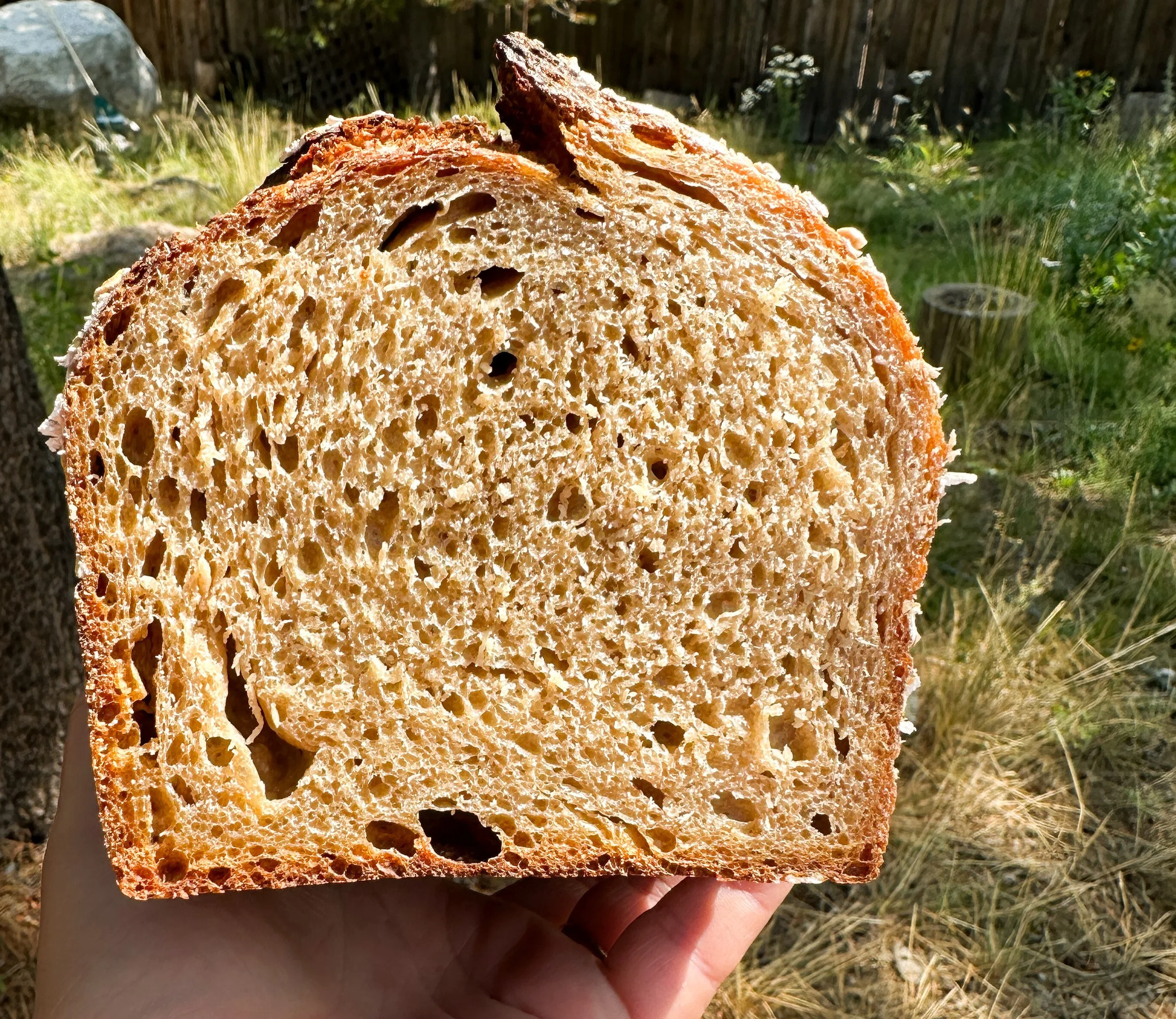 Beautiful tight crumb from a Sourdough Einkorn Sandwich loaf.