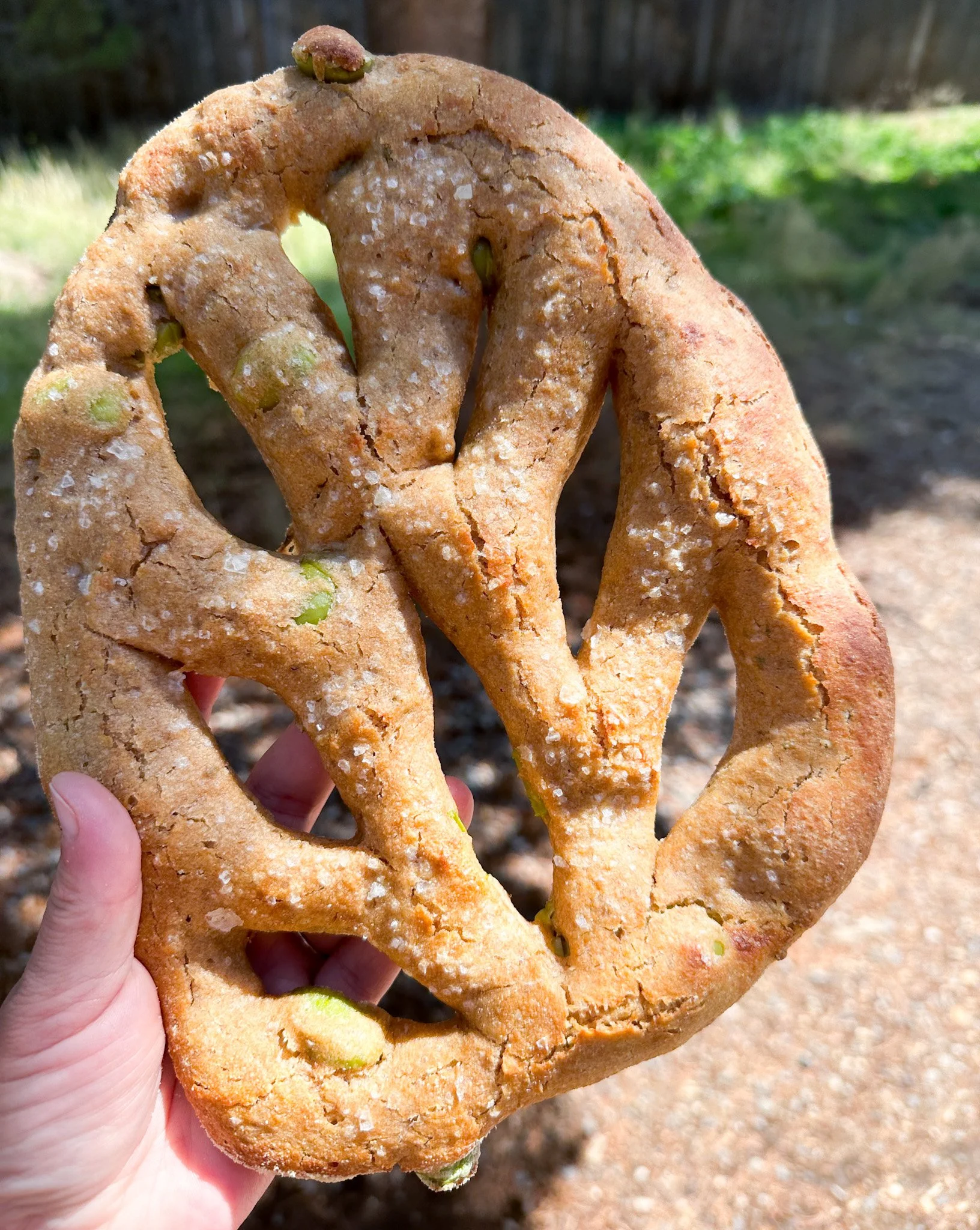 Sourdough Spelt Fougasse stuffed with green olives and rosemary. A Brot Blume cult favorite!