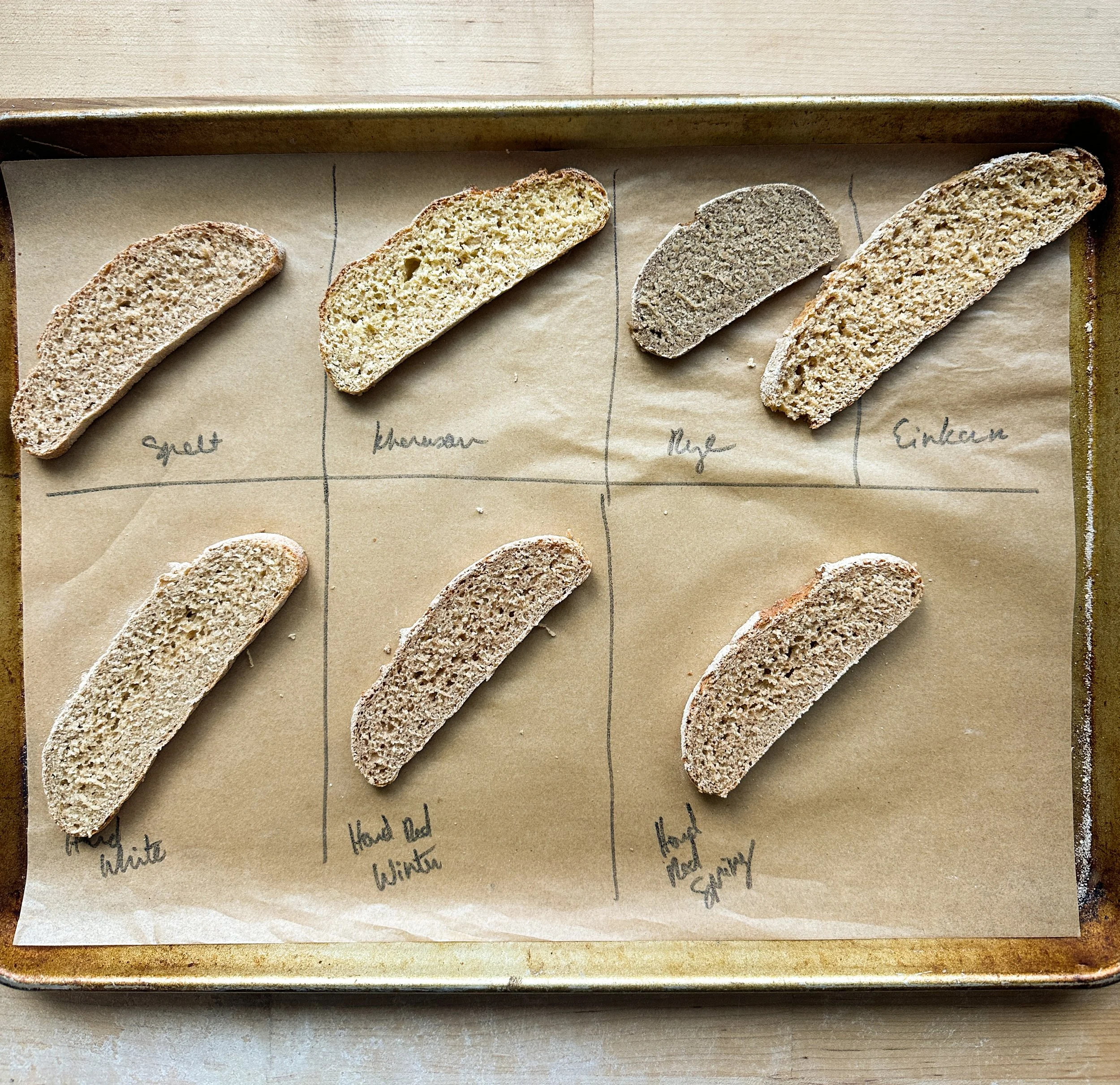 Flour testing in Brot Blume's R&D stage.
