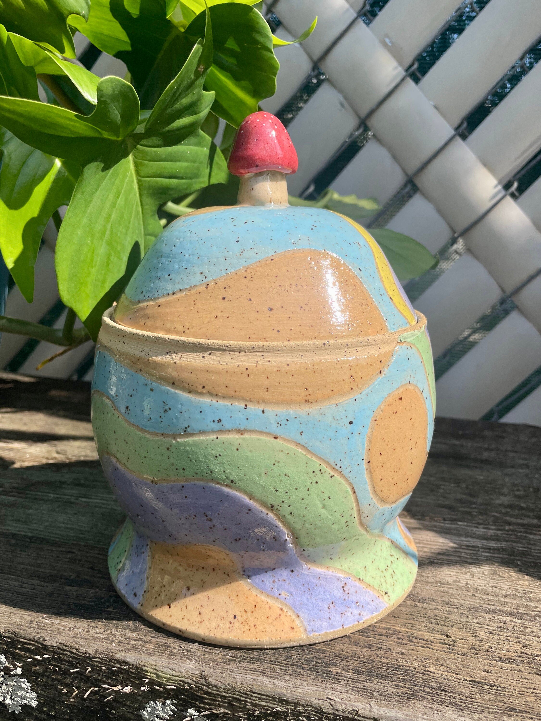 https://i.etsystatic.com/42391423/r/il/766acb/4962810490/il_fullxfull.4962810490_4mi5.jpg