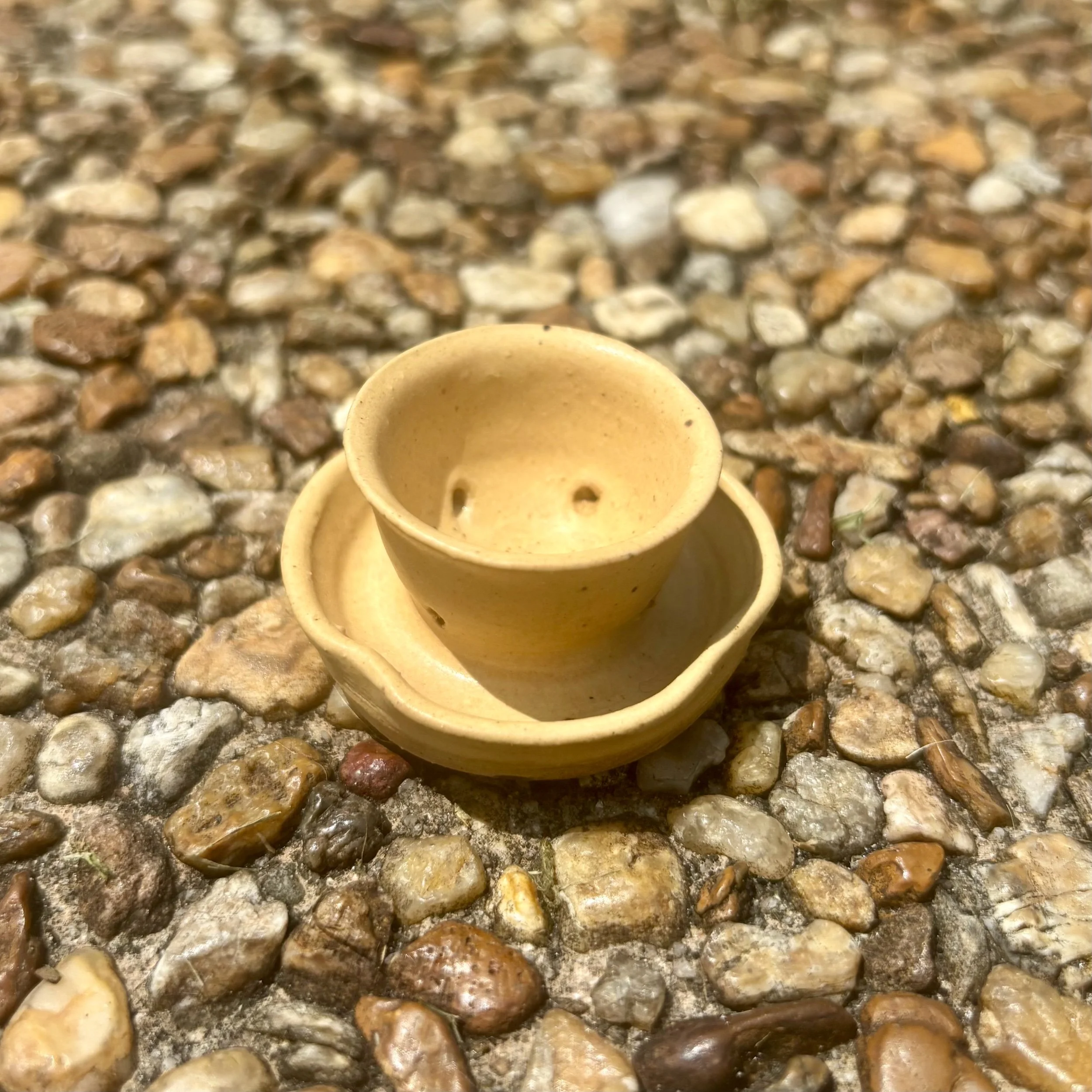 Mini Planter in Macadamia