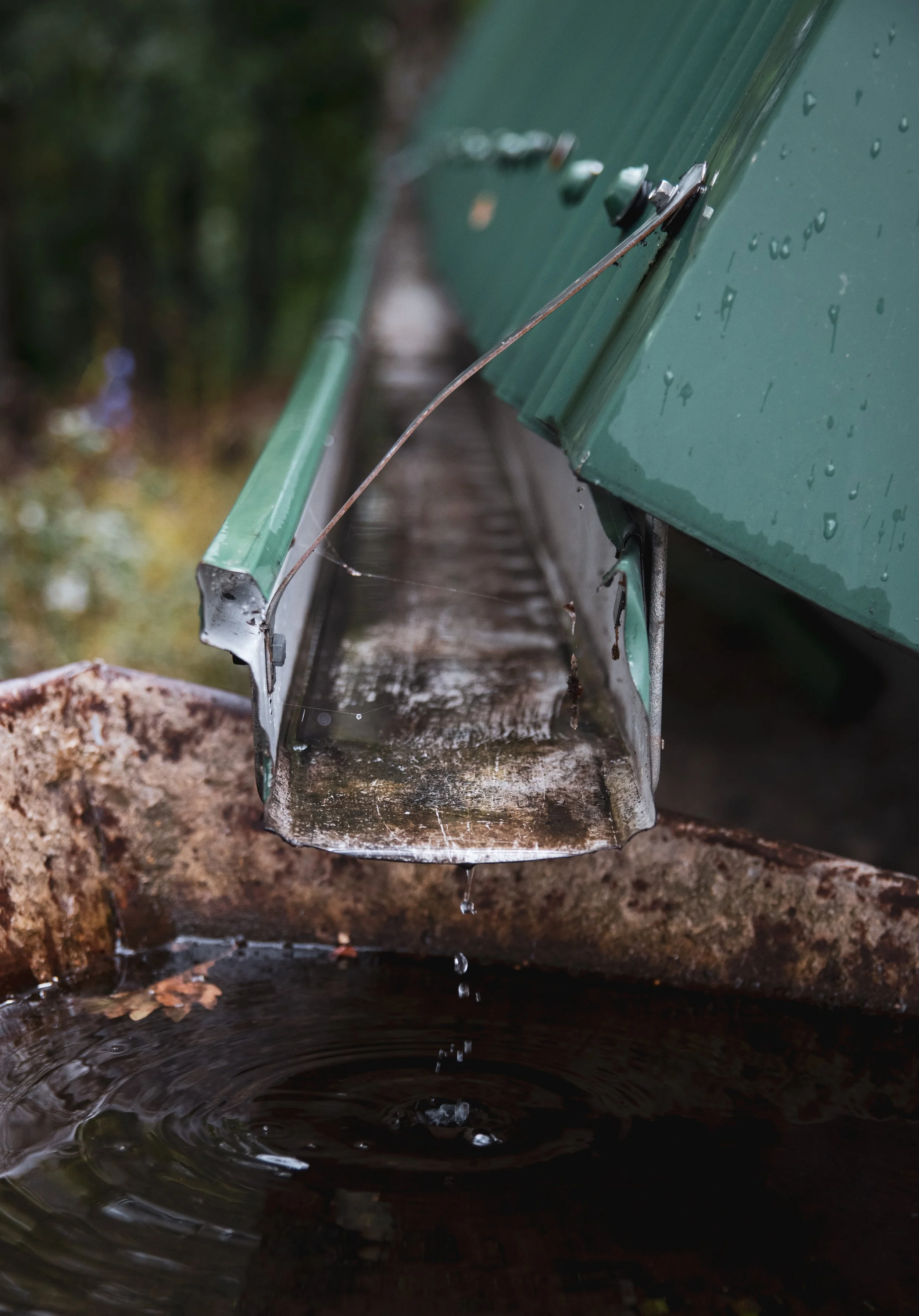 Close-up of a metal rain gutter with water dripping into a rusted metal container below, with water droplets on the surface and a blurred outdoor background.