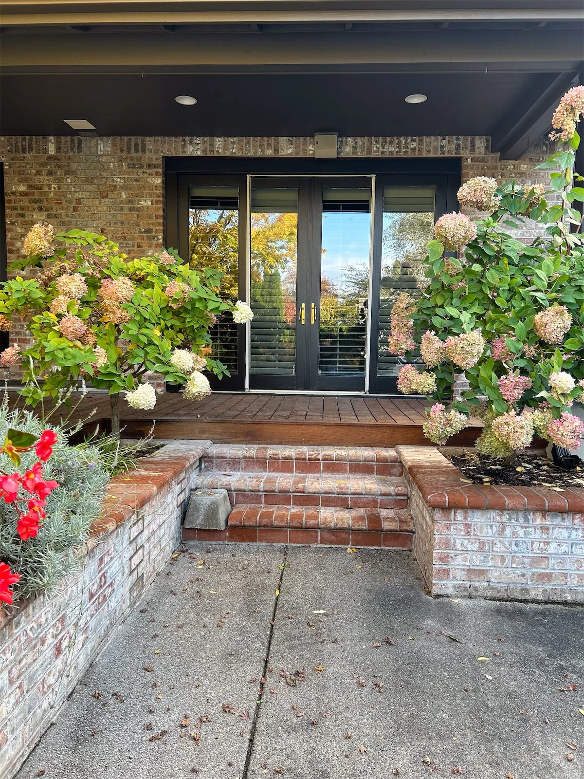 JOHNATHAN PL (2).jpeg