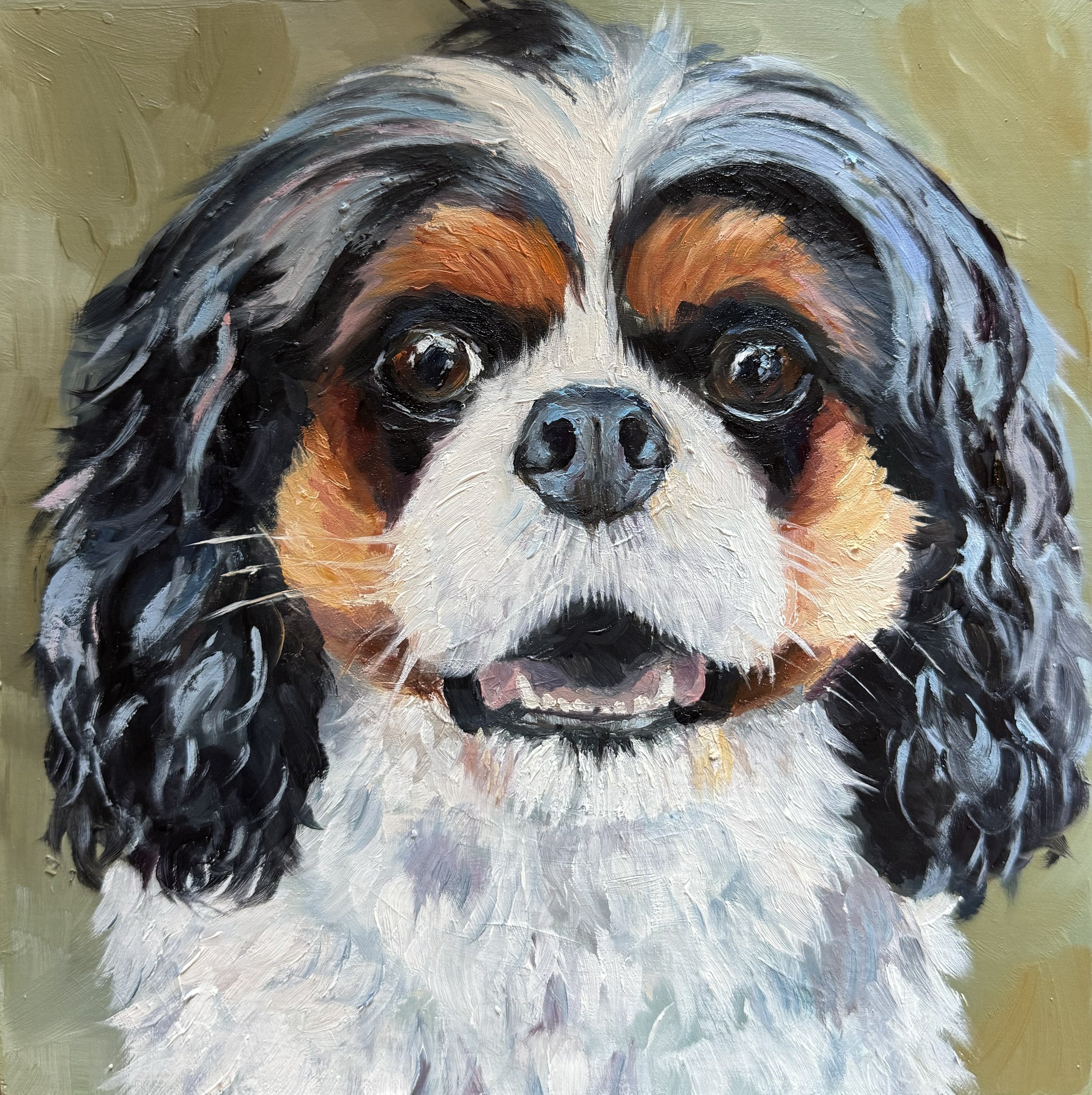 Spaniel.jpg