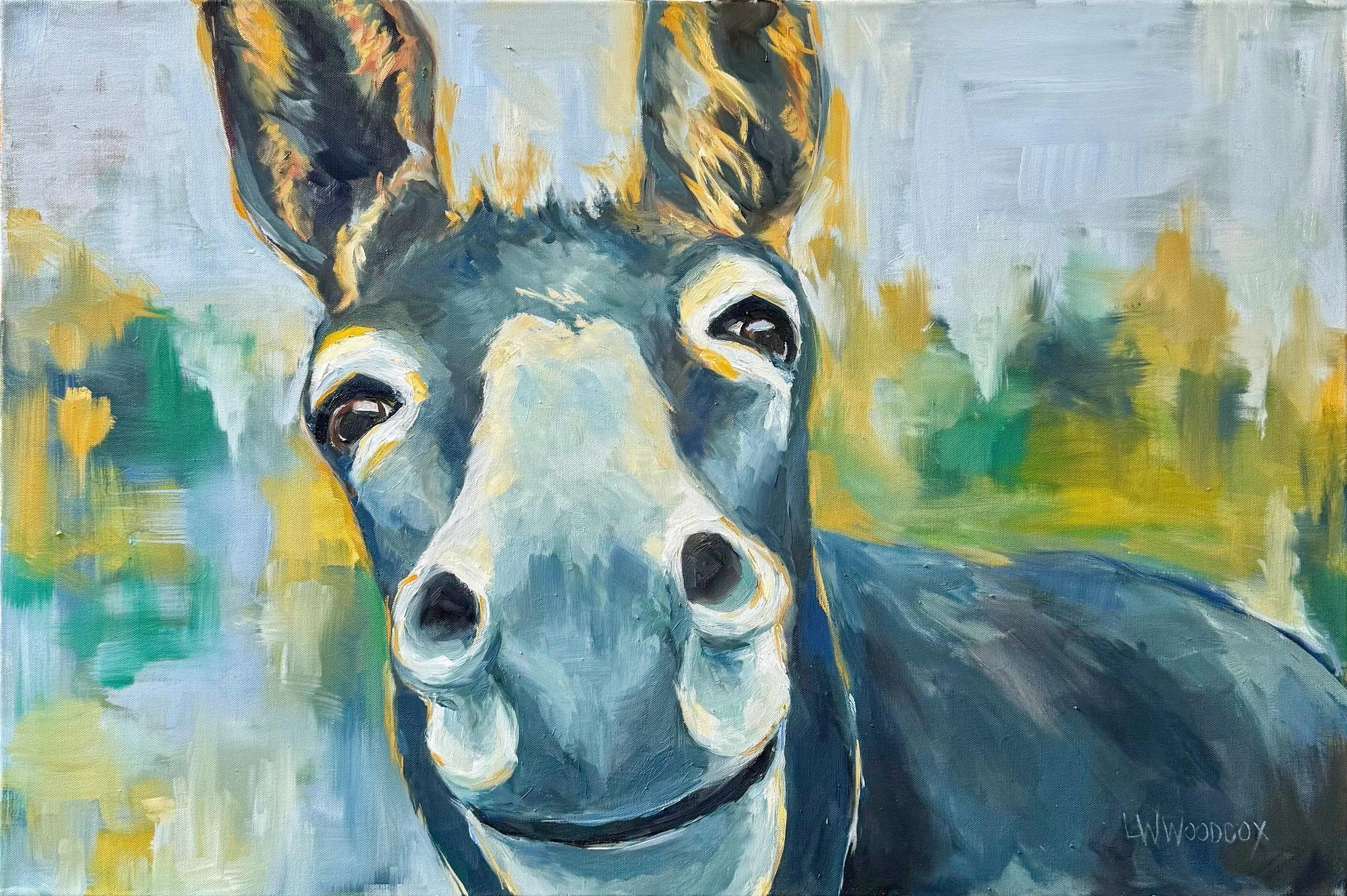 Diniz Donkey.jpeg