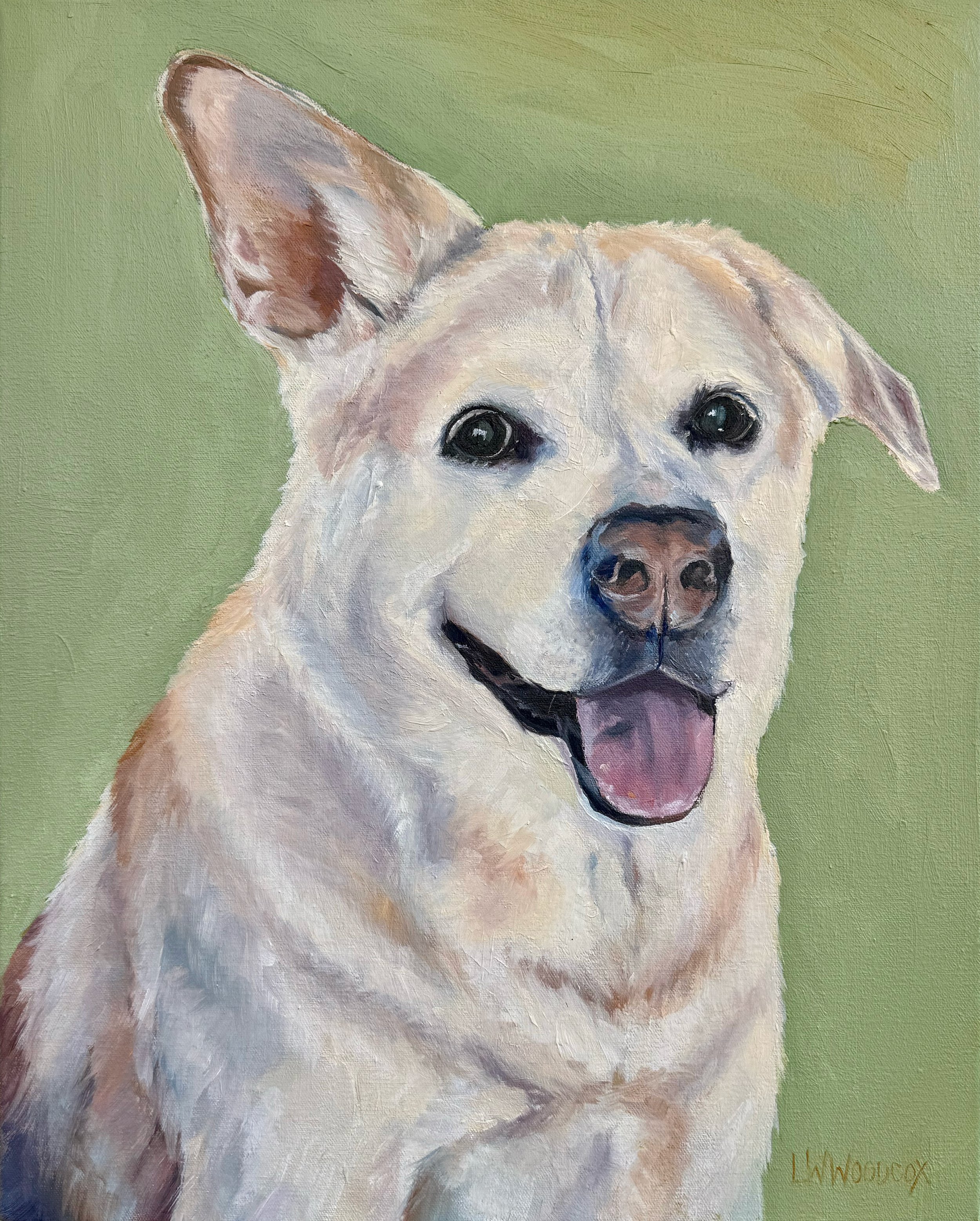 Jojo_16x20.jpg