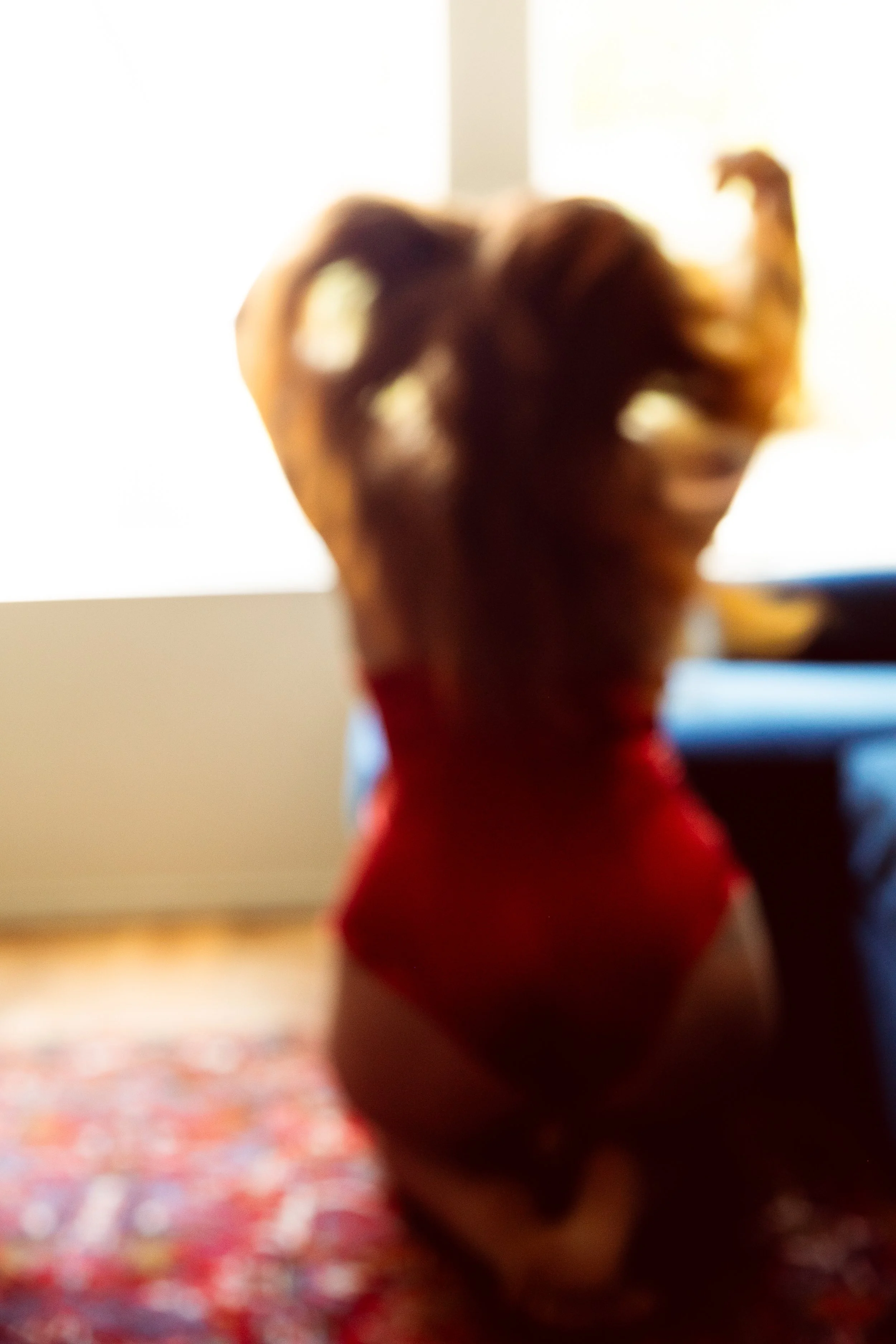 103A9163.jpg