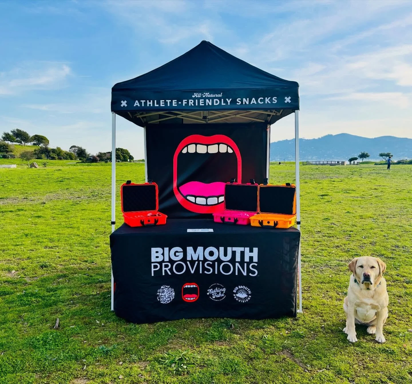 Kicking&rsquo; it in the park.