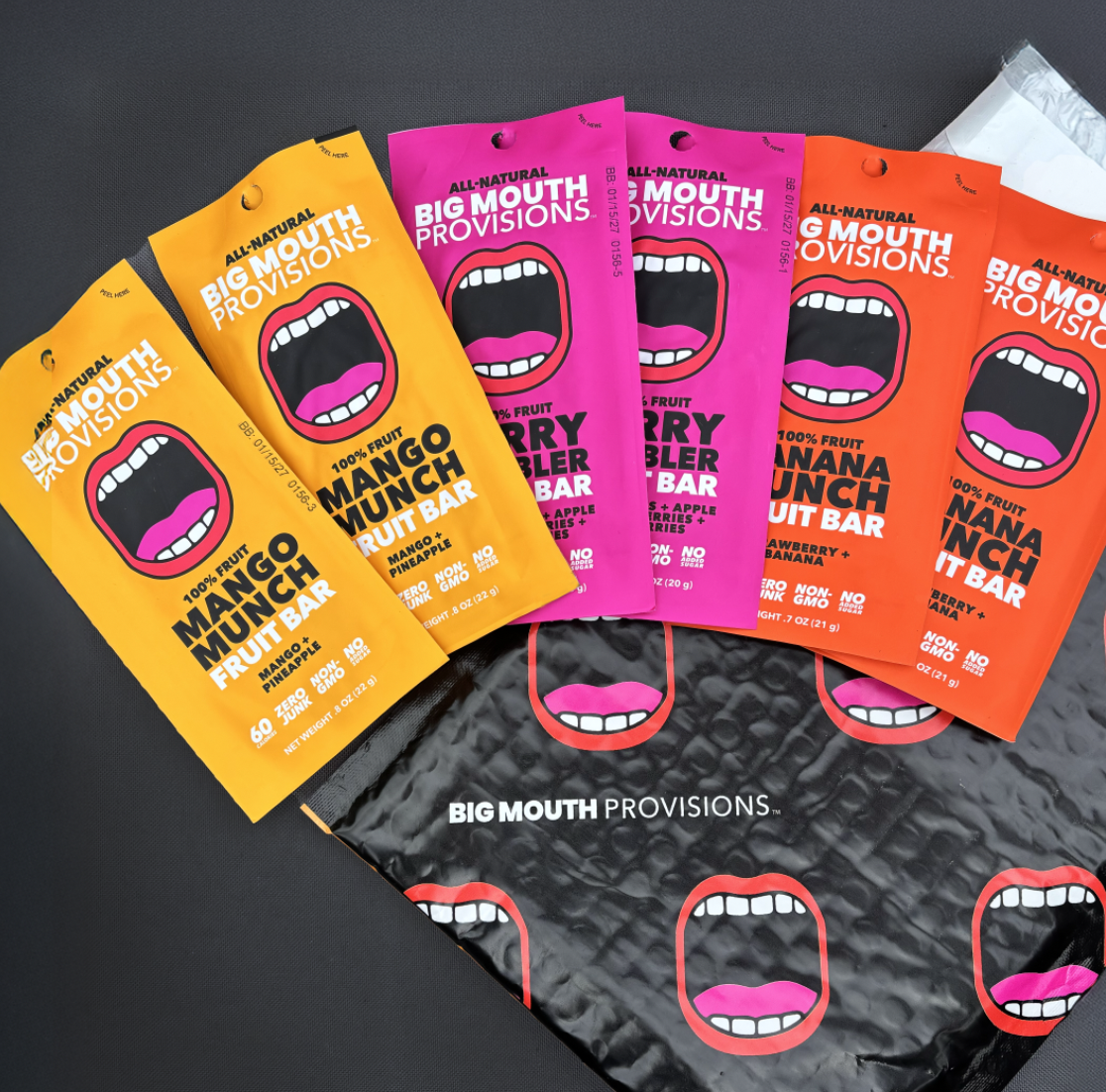 FRUIT BAR | Variety 6 Pack