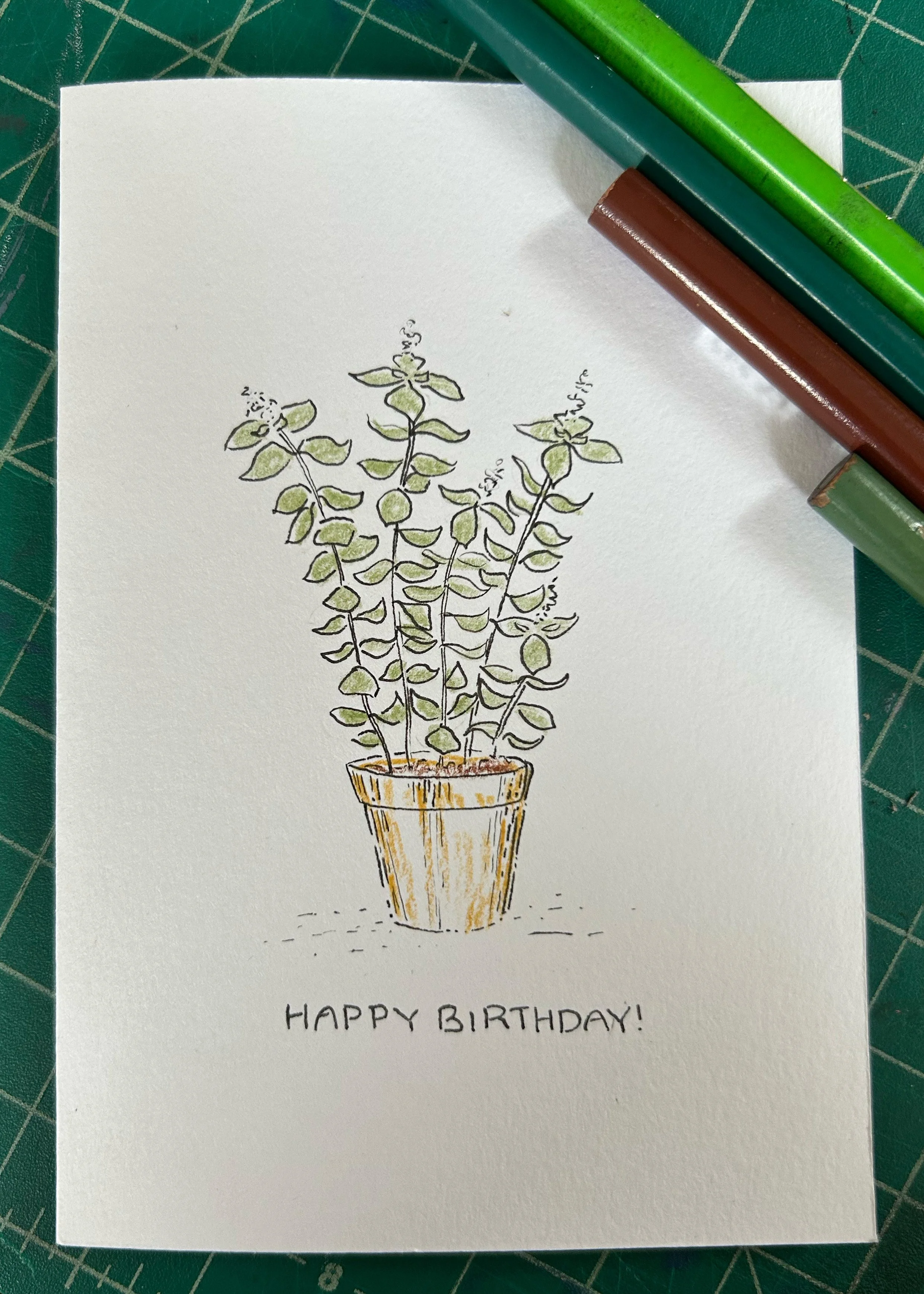basil.jpg