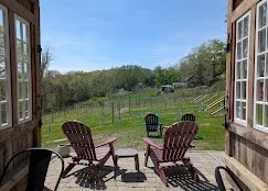 Move Towards Stillness in the Vineyard with Haley &amp; Tina at Ox &amp; Oak Vineyards