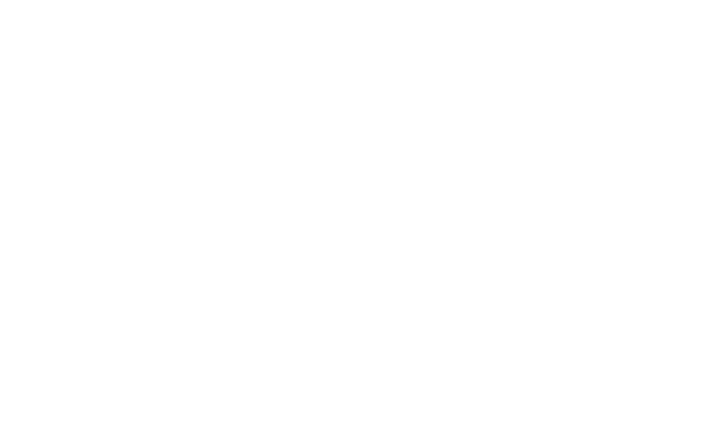 FEATURE DOCUMENTARY FILM