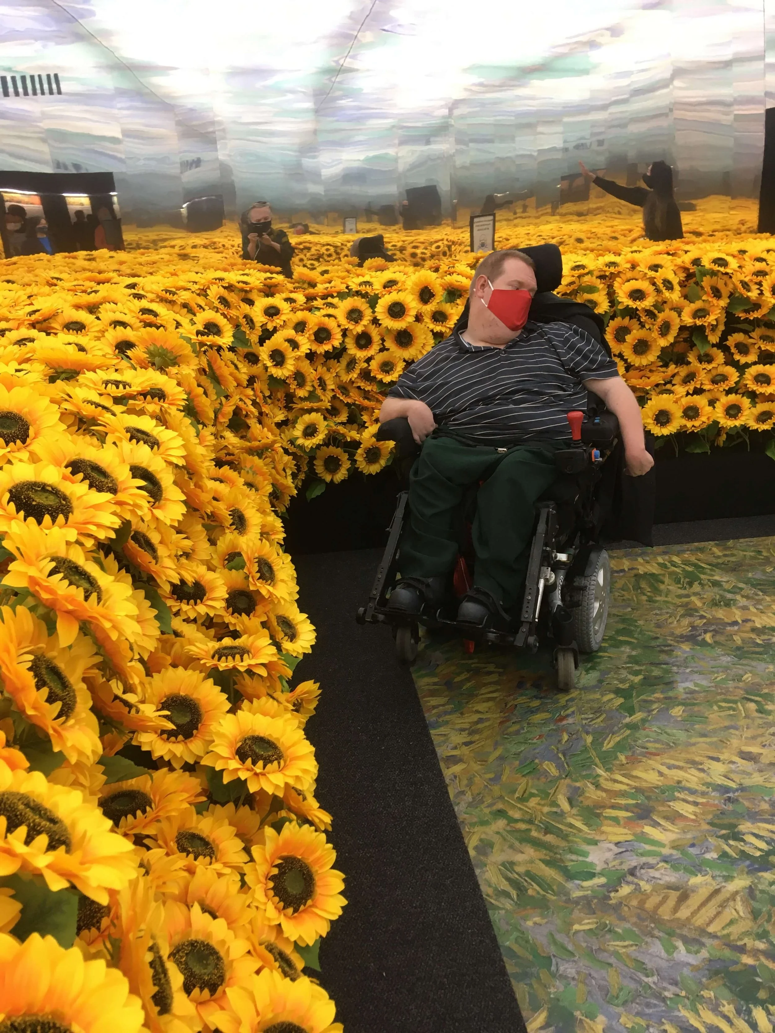 A man in wheelchair wearing a red face mask and striped shirt resting amidst a large display of yellow sunflowers inside an indoor space with reflective walls.
