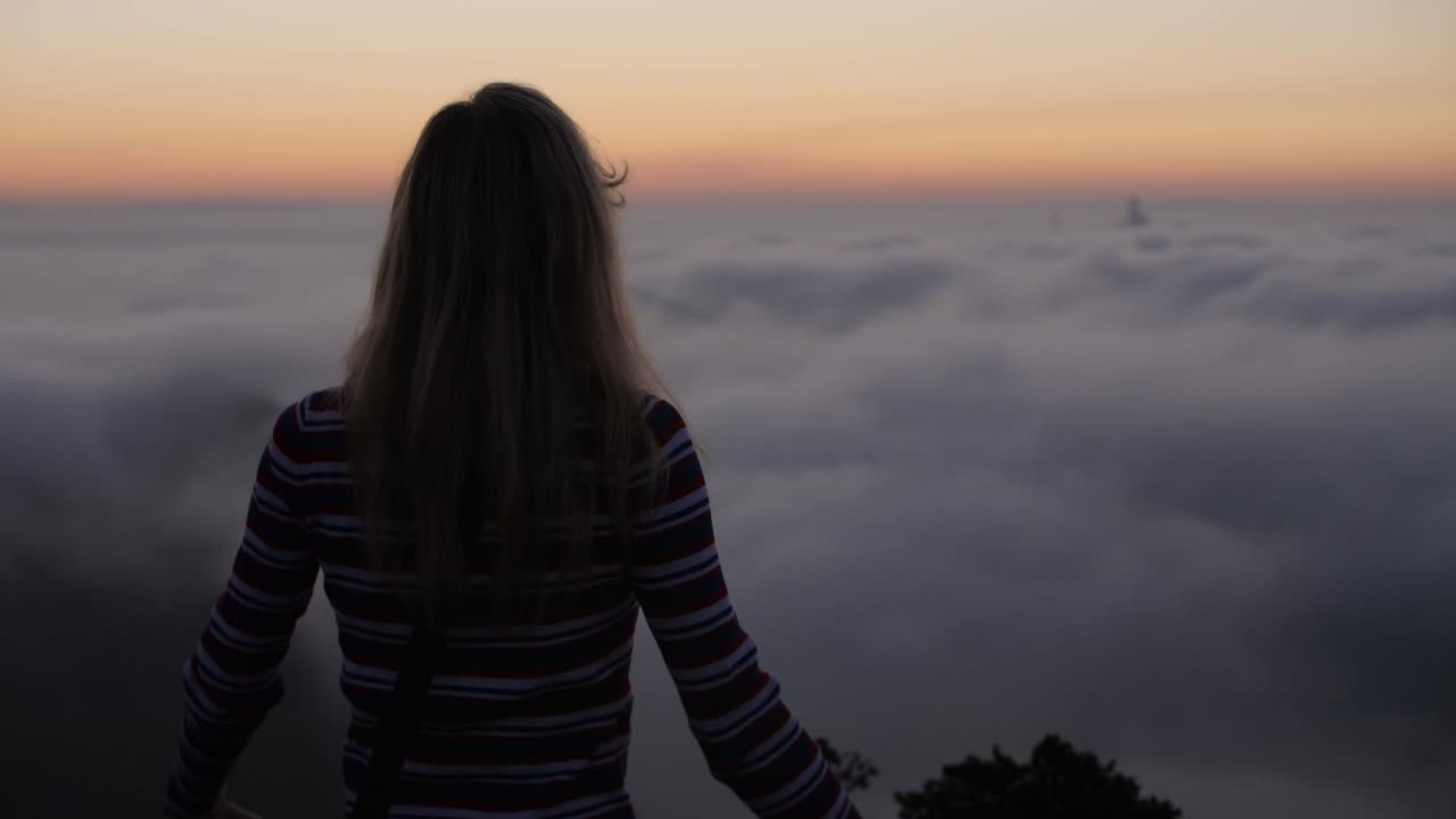 WomynWyze  Brand Guidelines (Presentation).png