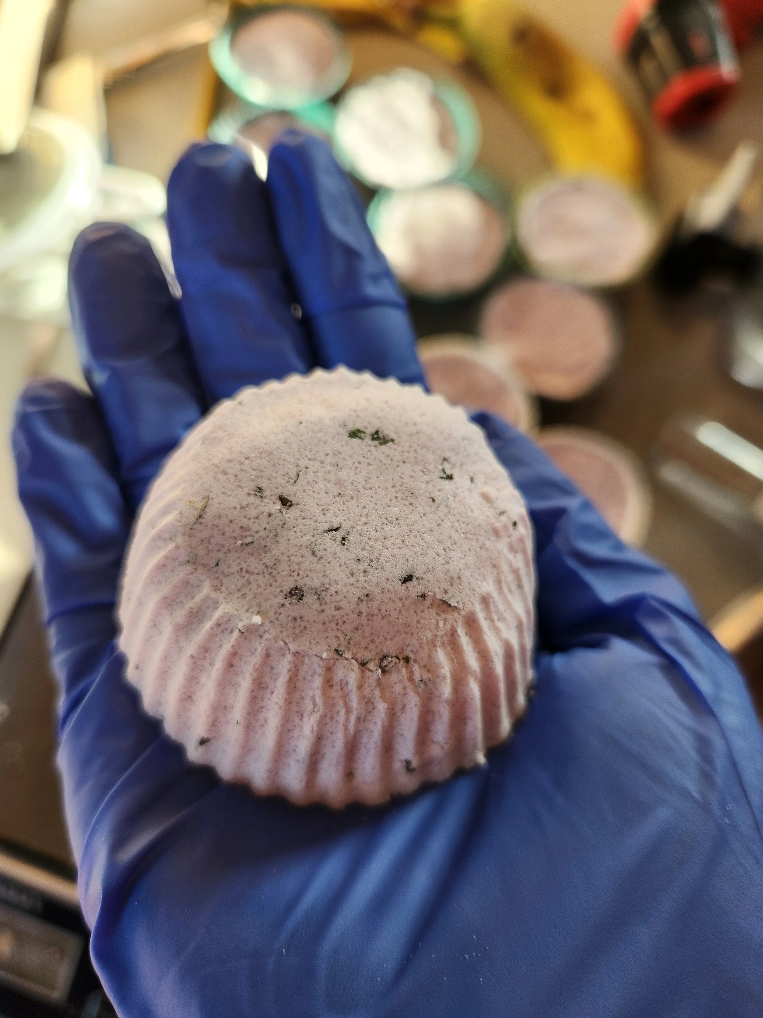 Lavender & Rosemary Serenity Shower Steamer