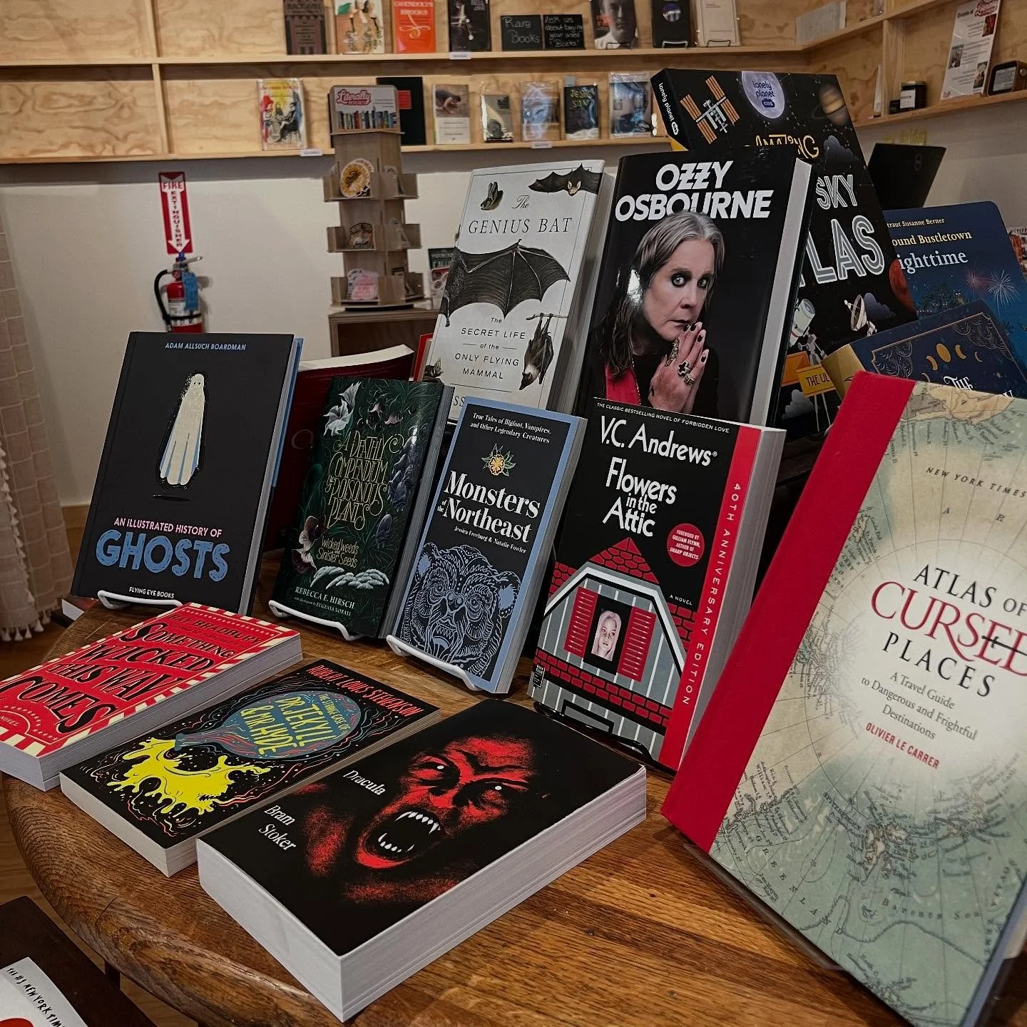 The Prince of Darkness taking pride of place on our Halloween display this perfectly fall weekend. Open 11-6. #independentbookstore #bats #ozzyosbourne