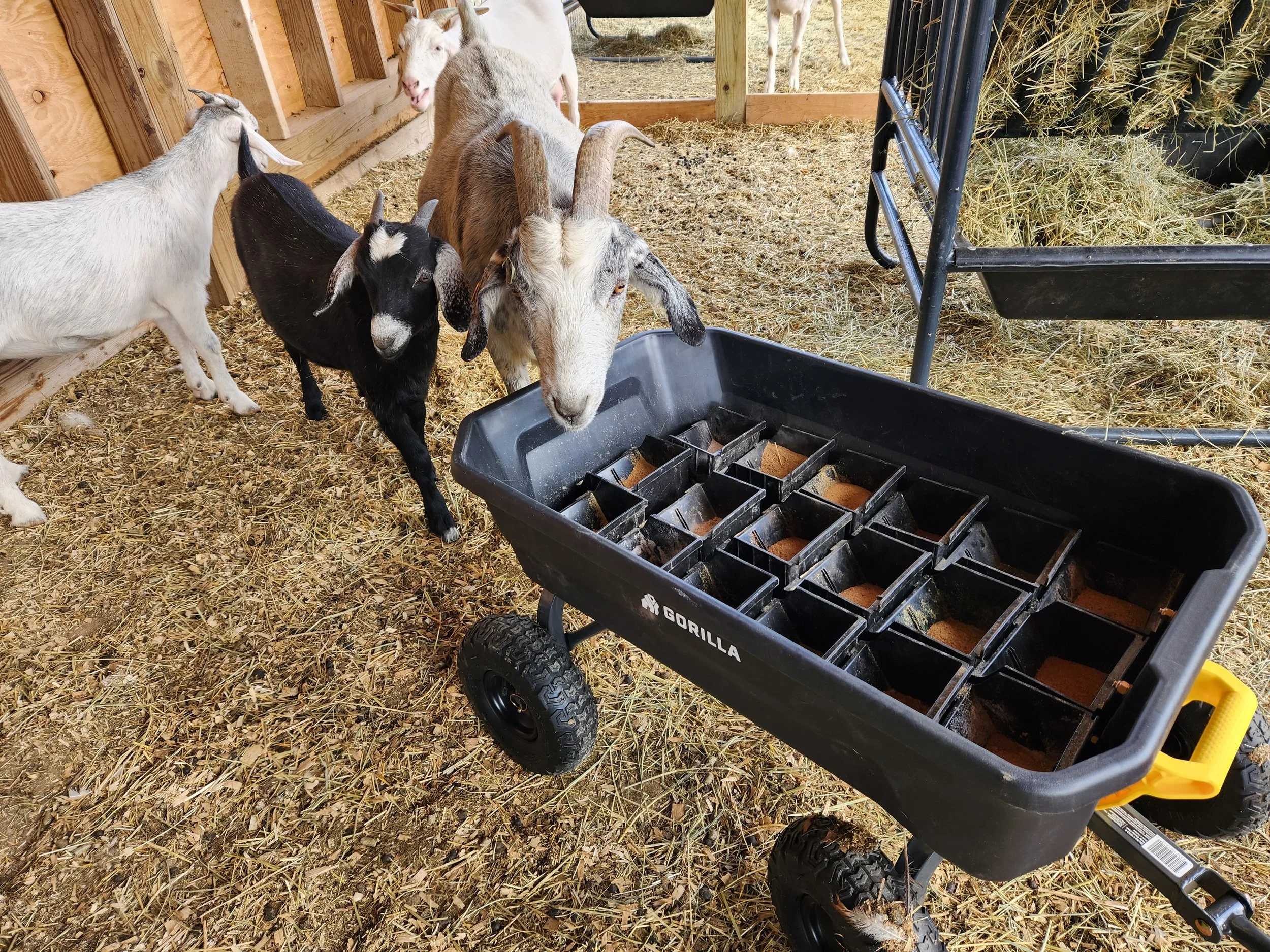 082625 mineral trolley.jpg