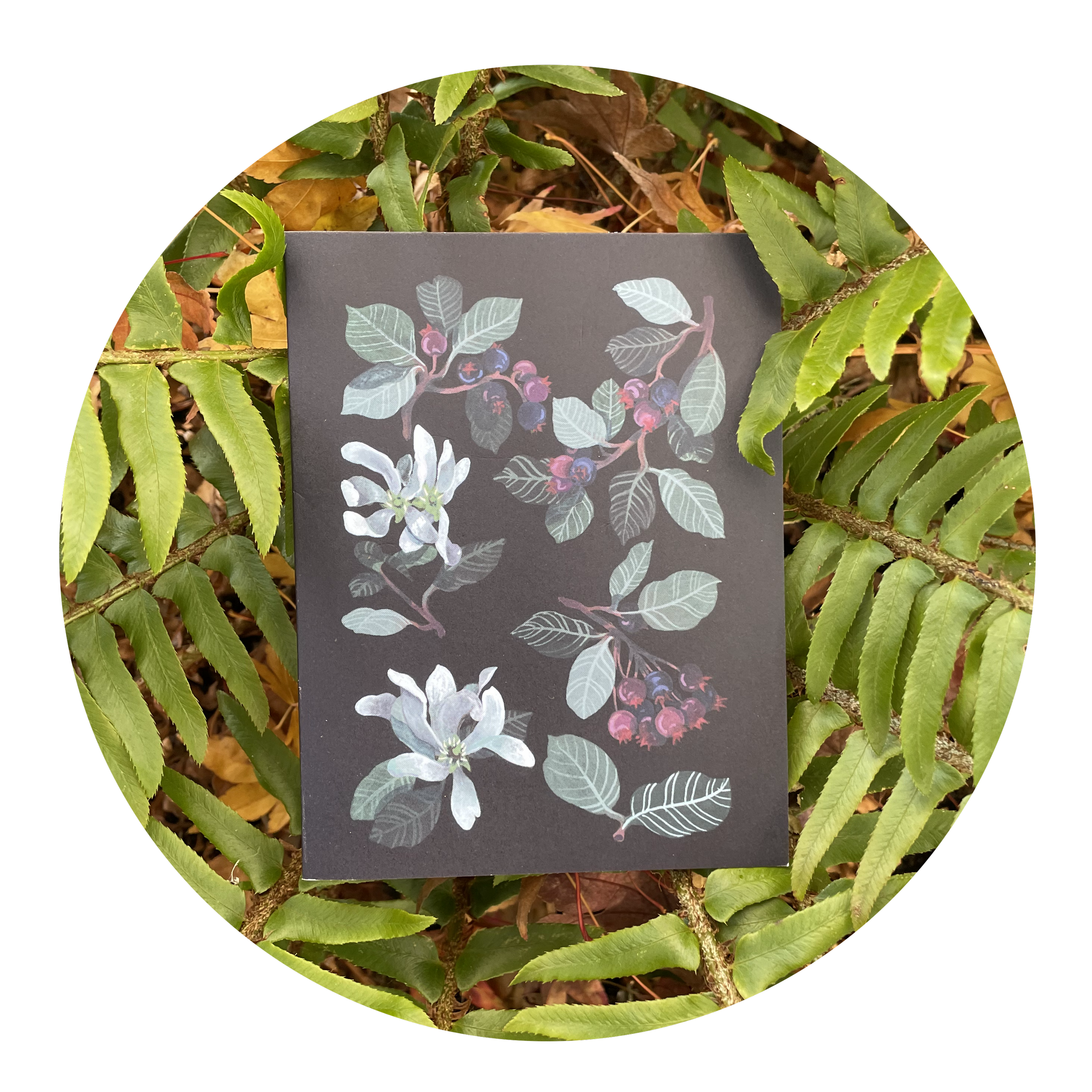 Serviceberry notecard