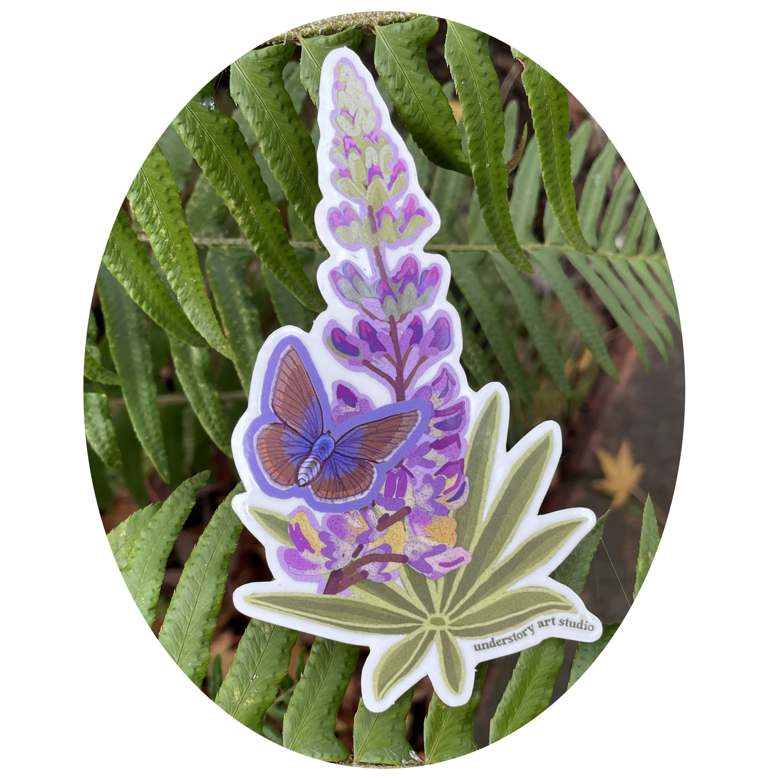 Kincaid's Lupine & Fender's Blue Butterfly sticker