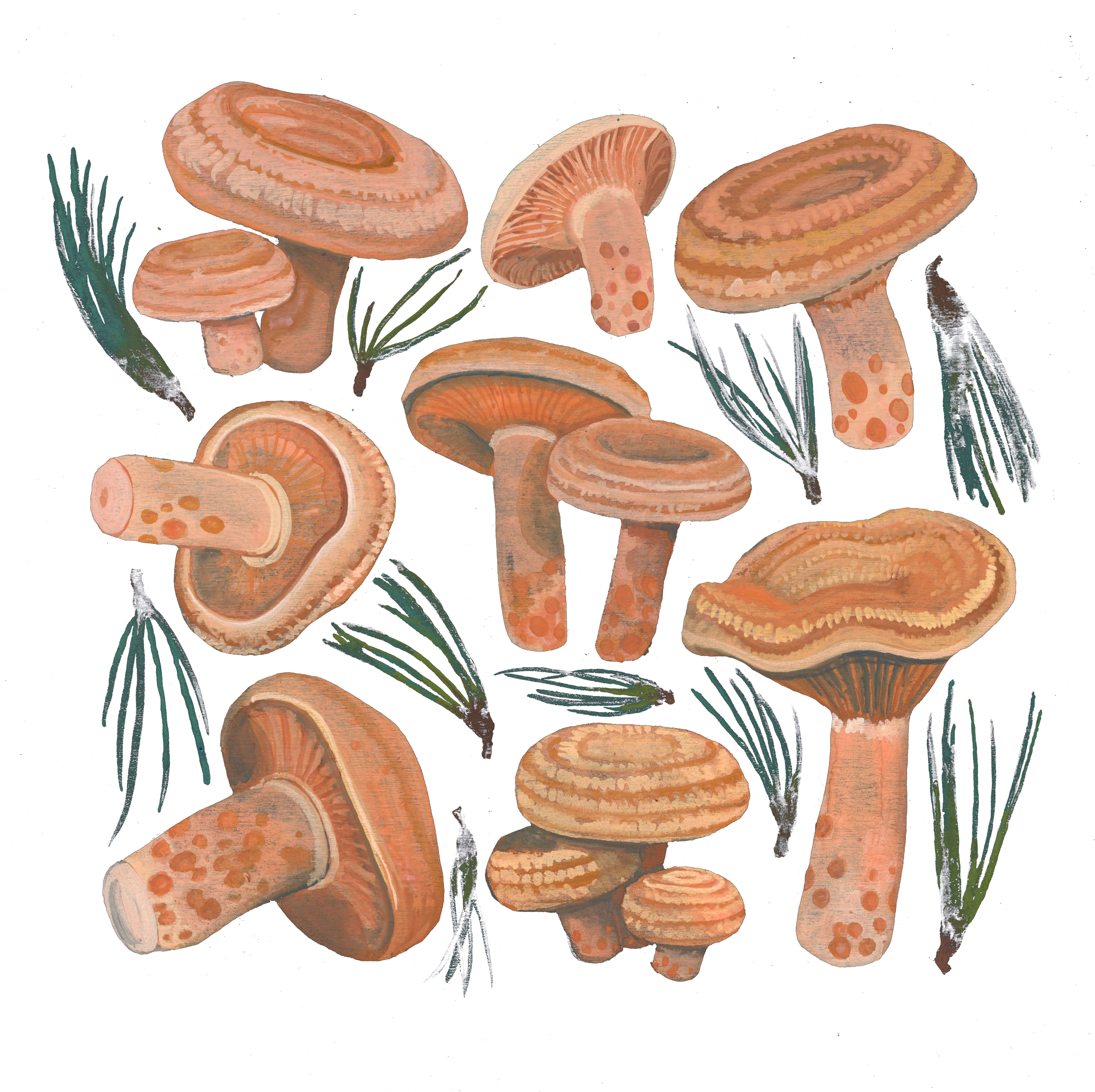 Saffron Milkcaps 8" x 8" Signed Print