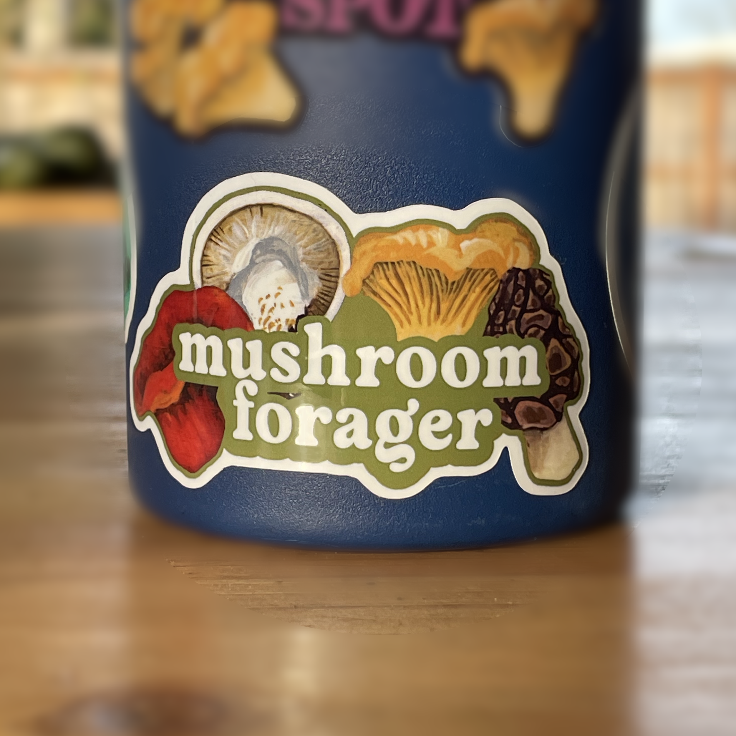 mushroomforagerphoto2.png