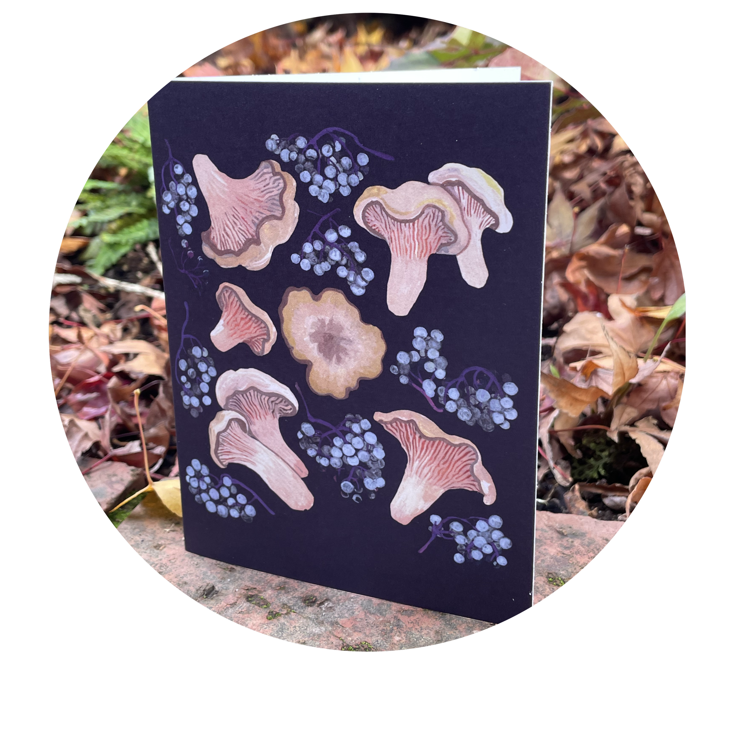 White chanterelles notecard