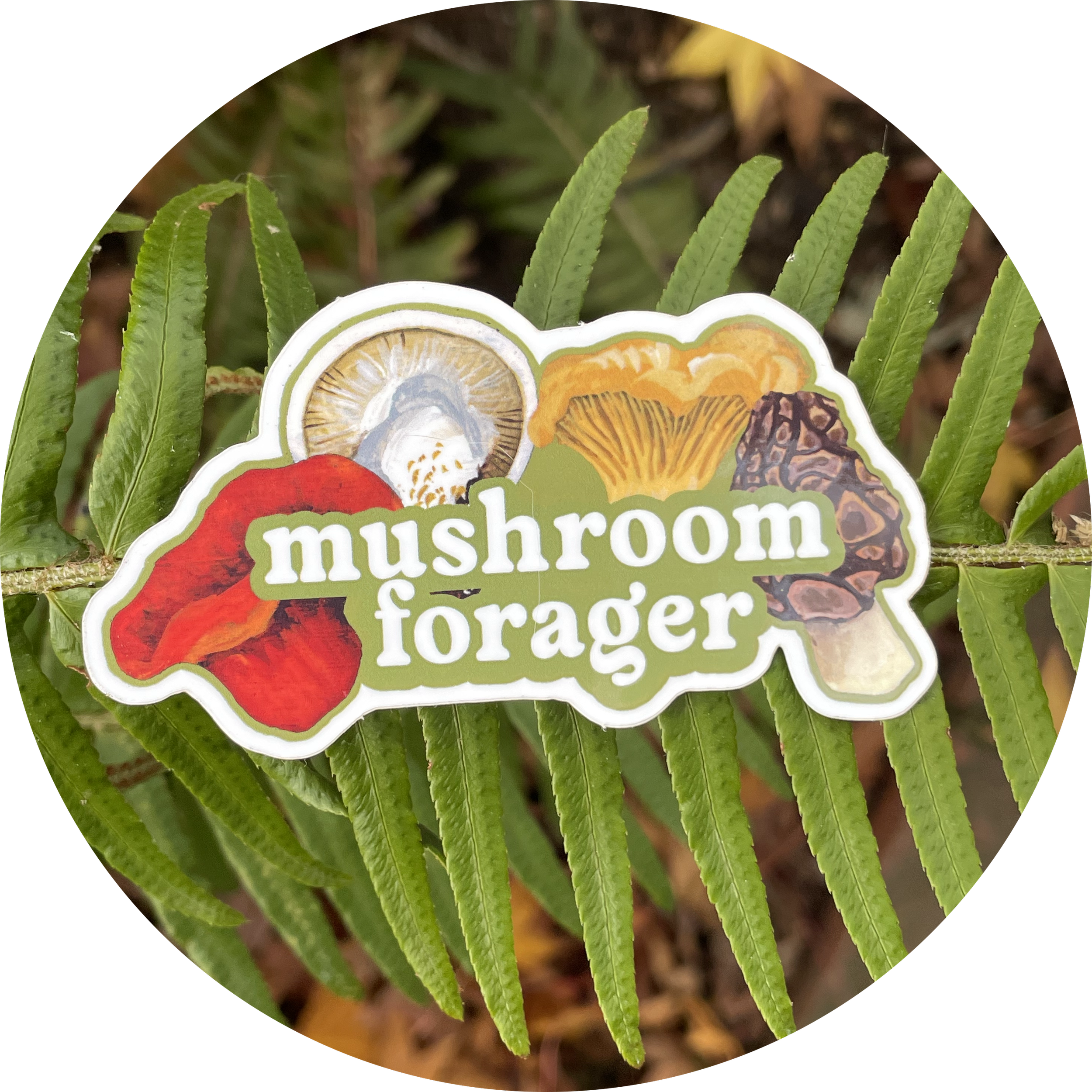 Mushroom Forager Sticker