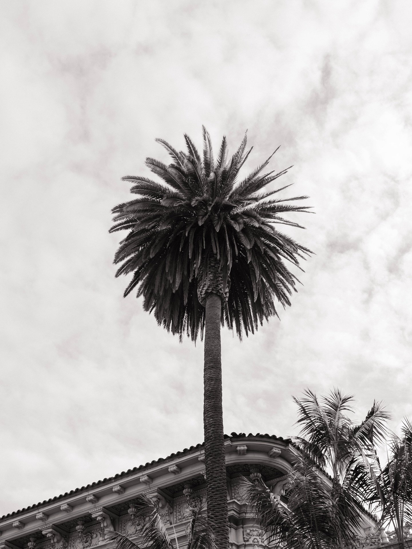 balboa park in grayscale, nov 2025. 💌

i visited san diego twice this year &mdash; in march for my birthday &amp; in november for my bestie&rsquo;s birthday. the first visit, I was only 3 months into photography, capturing anything &amp; everything 