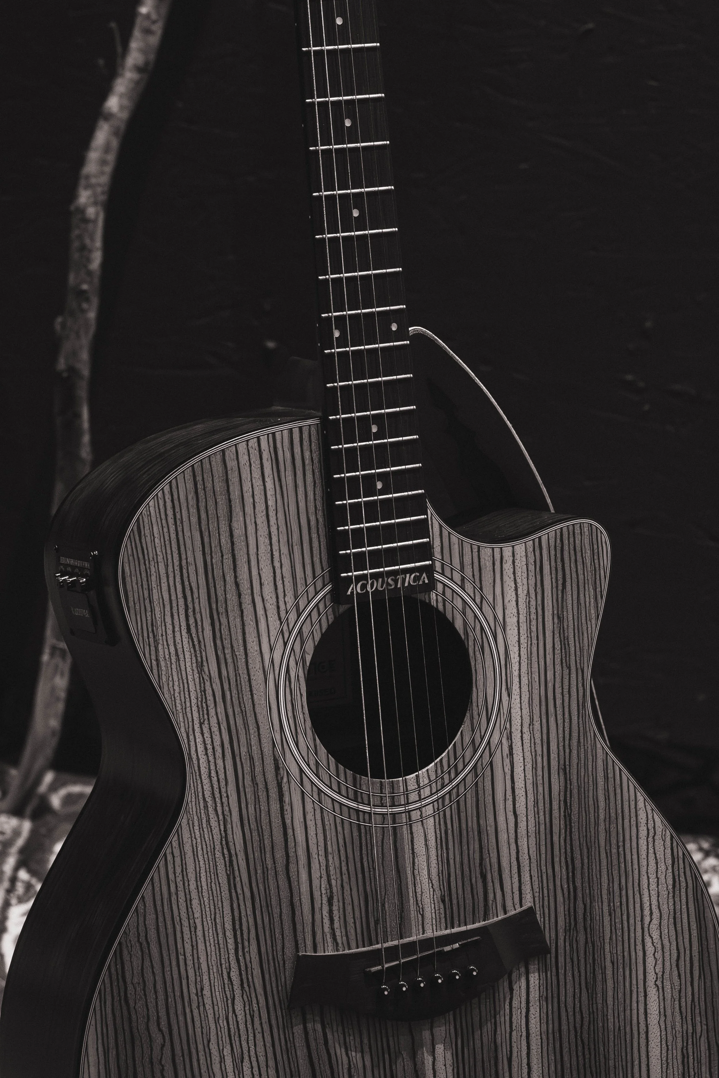 LS209111.jpg
