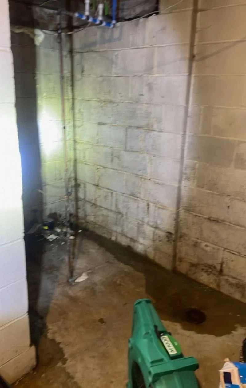 Waterproofing Consulting