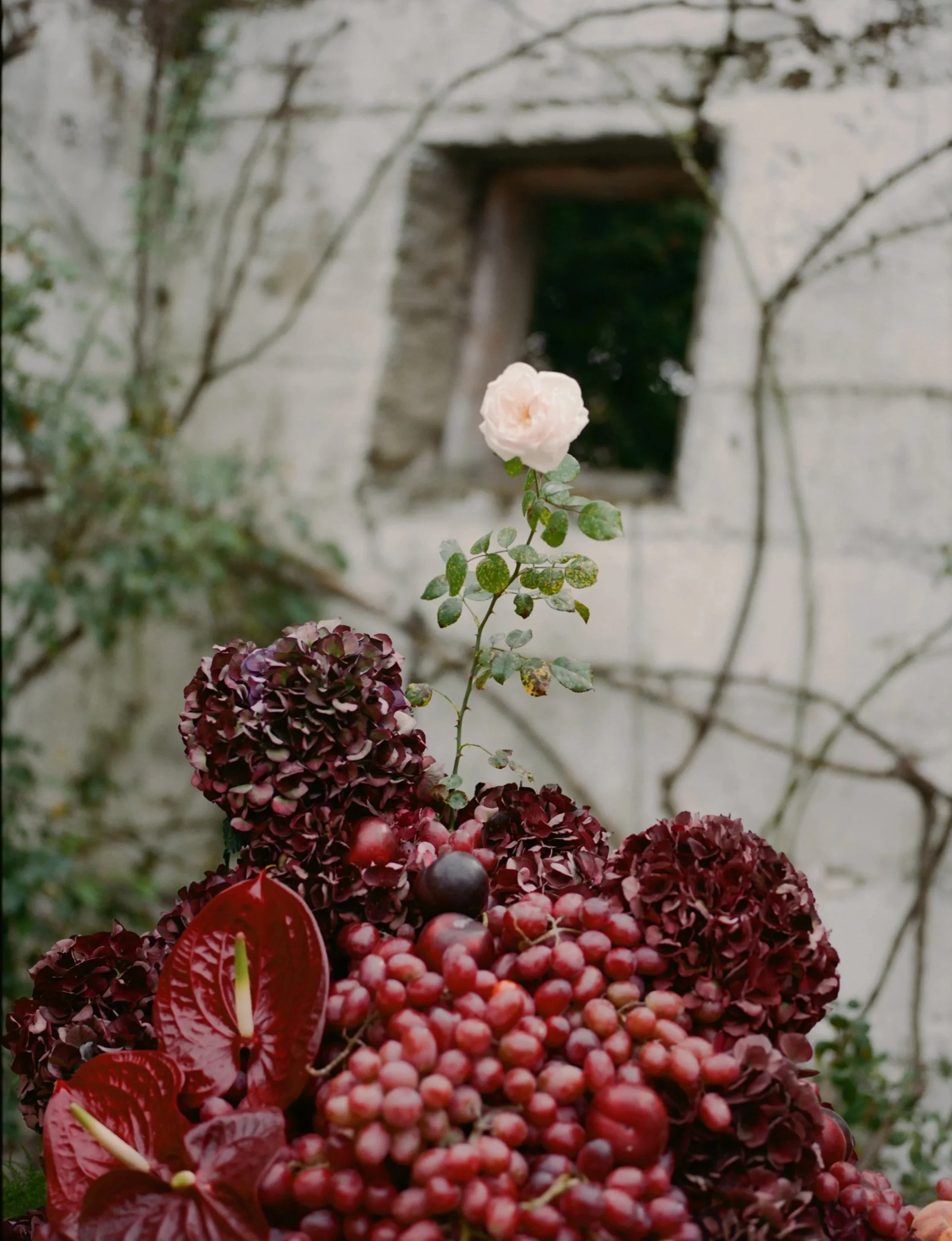 A close-up of a bouquet with deep red hydrangeas, red anthuriums, and a single tall pink rose, set against a blurred stone wall with an open window and climbing vines.