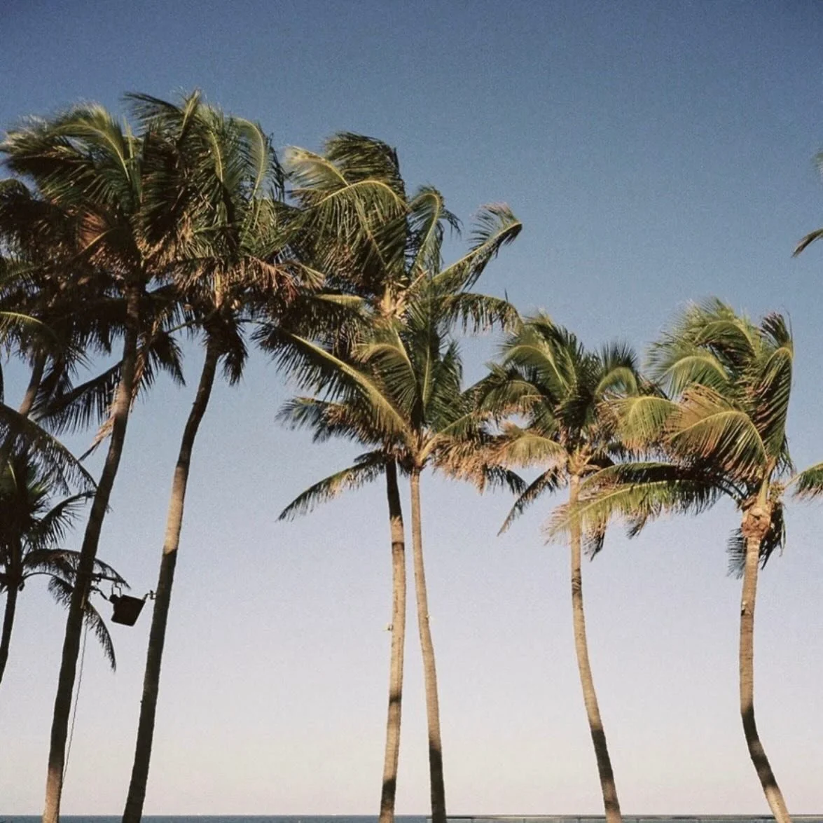 A backdrop worth revisiting!