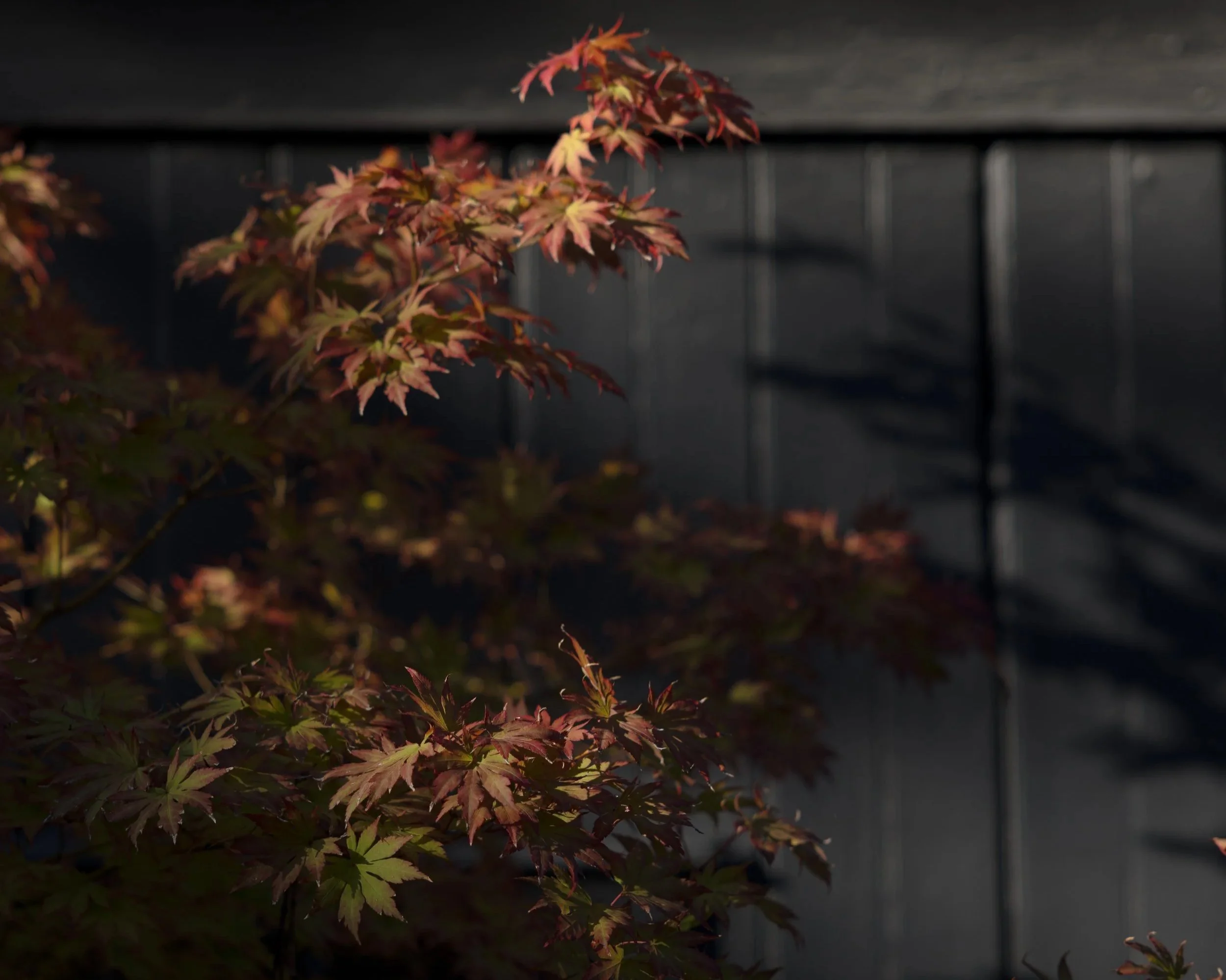 5C5A6548.jpg