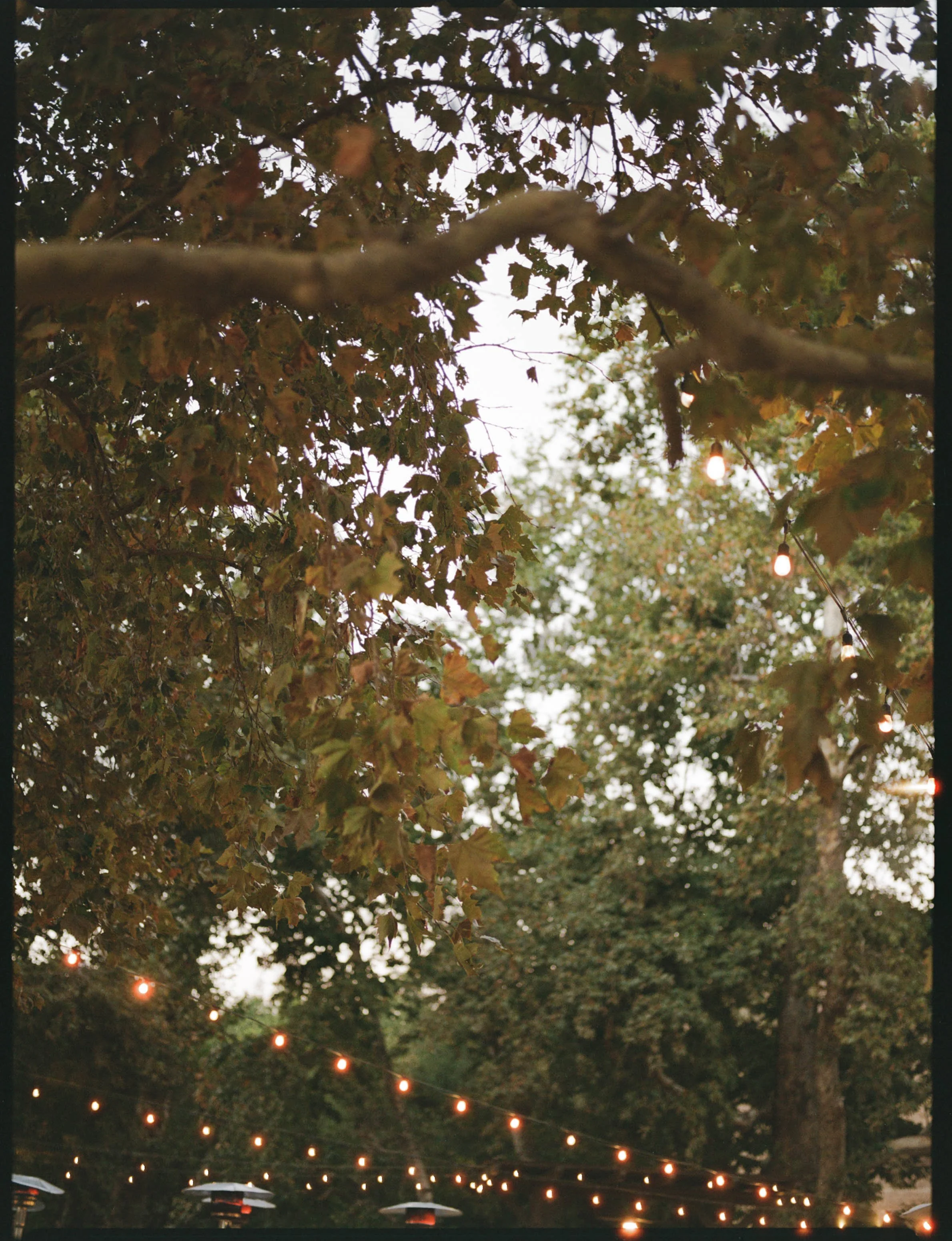 93129_HGU_001_04.jpg