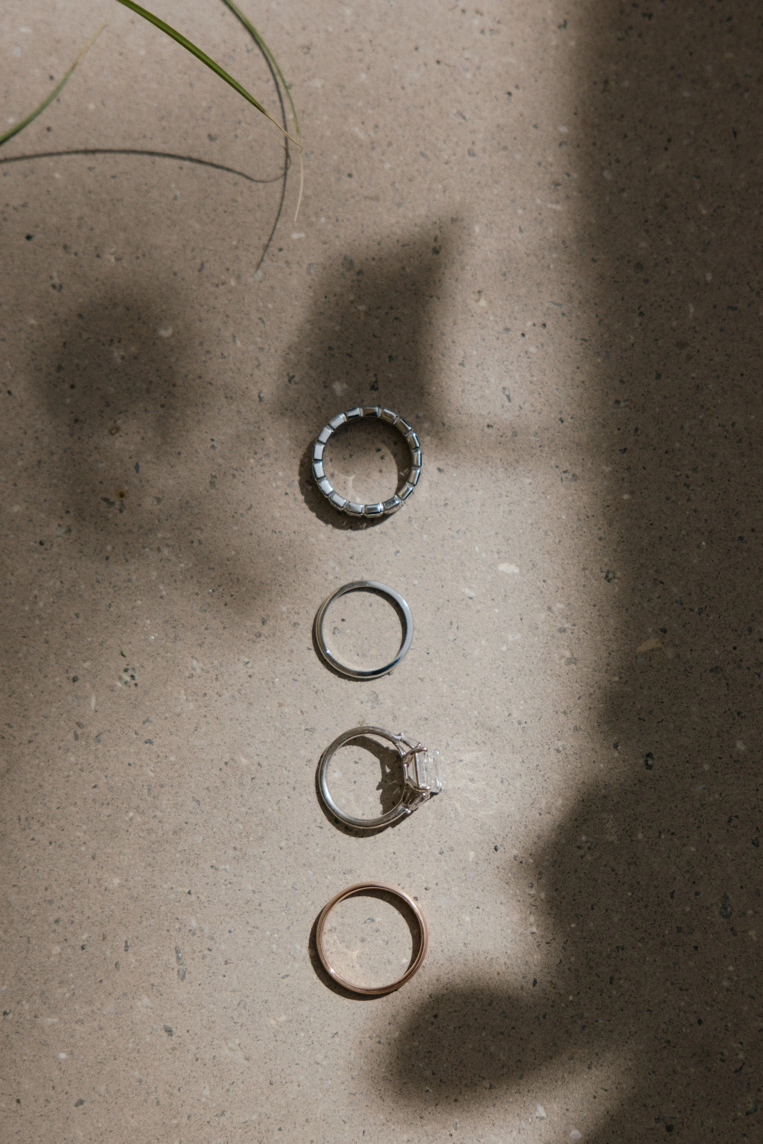 5C5A0704.jpg