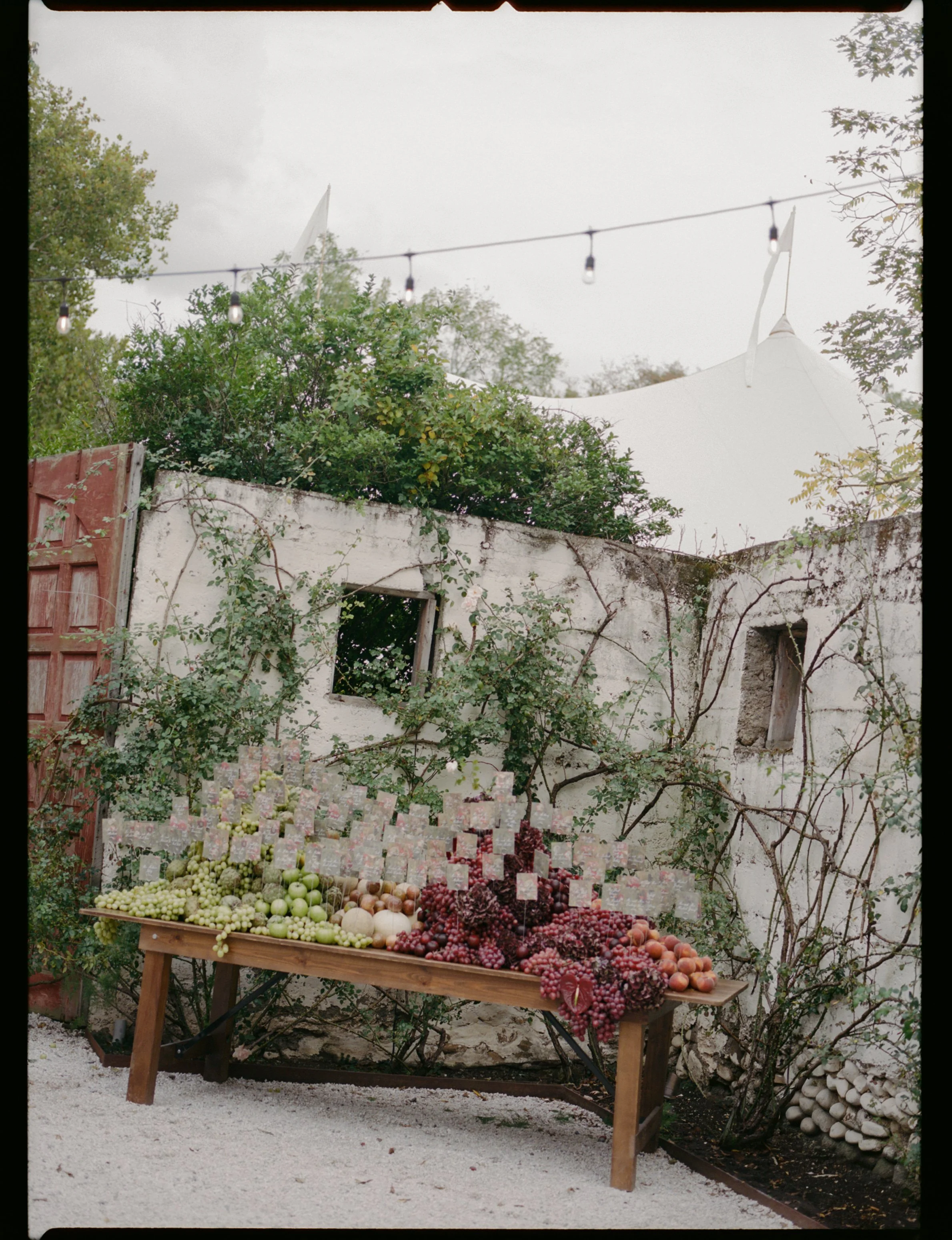 91943_HGU_016_04.jpg