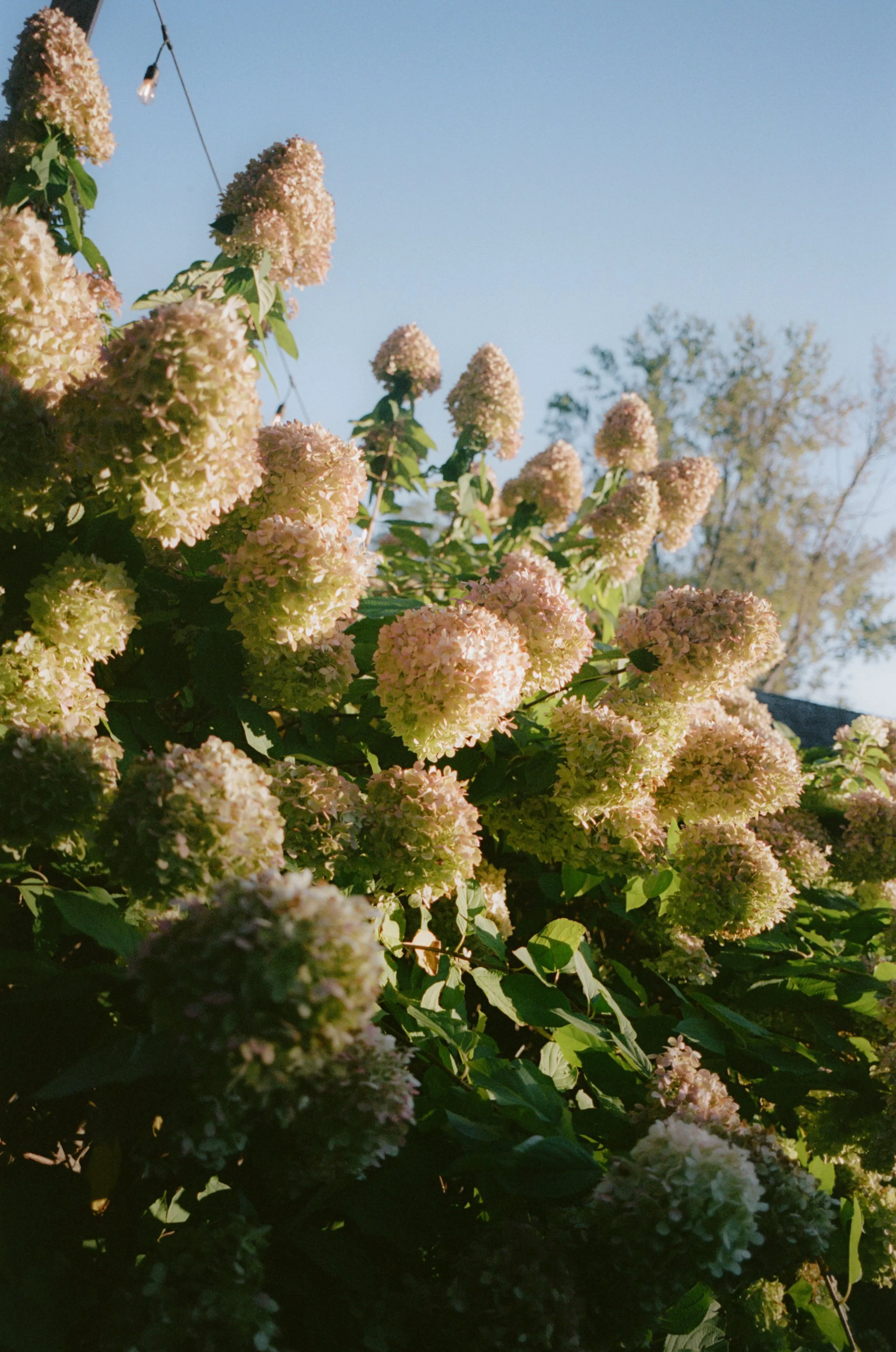 91943_HGU_021_09.jpg