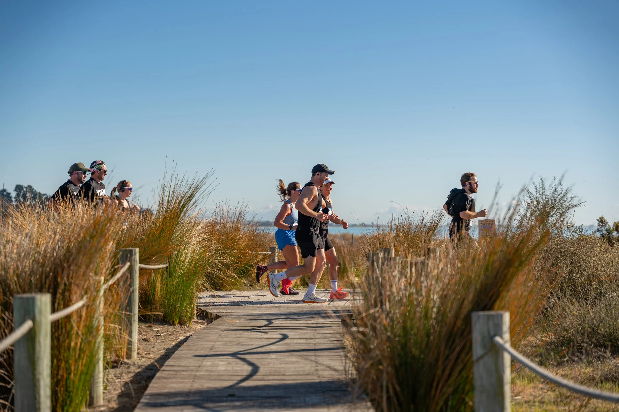 Group of runners jogging on a wooden pathway surrounded by tall grasses on a sunny day.