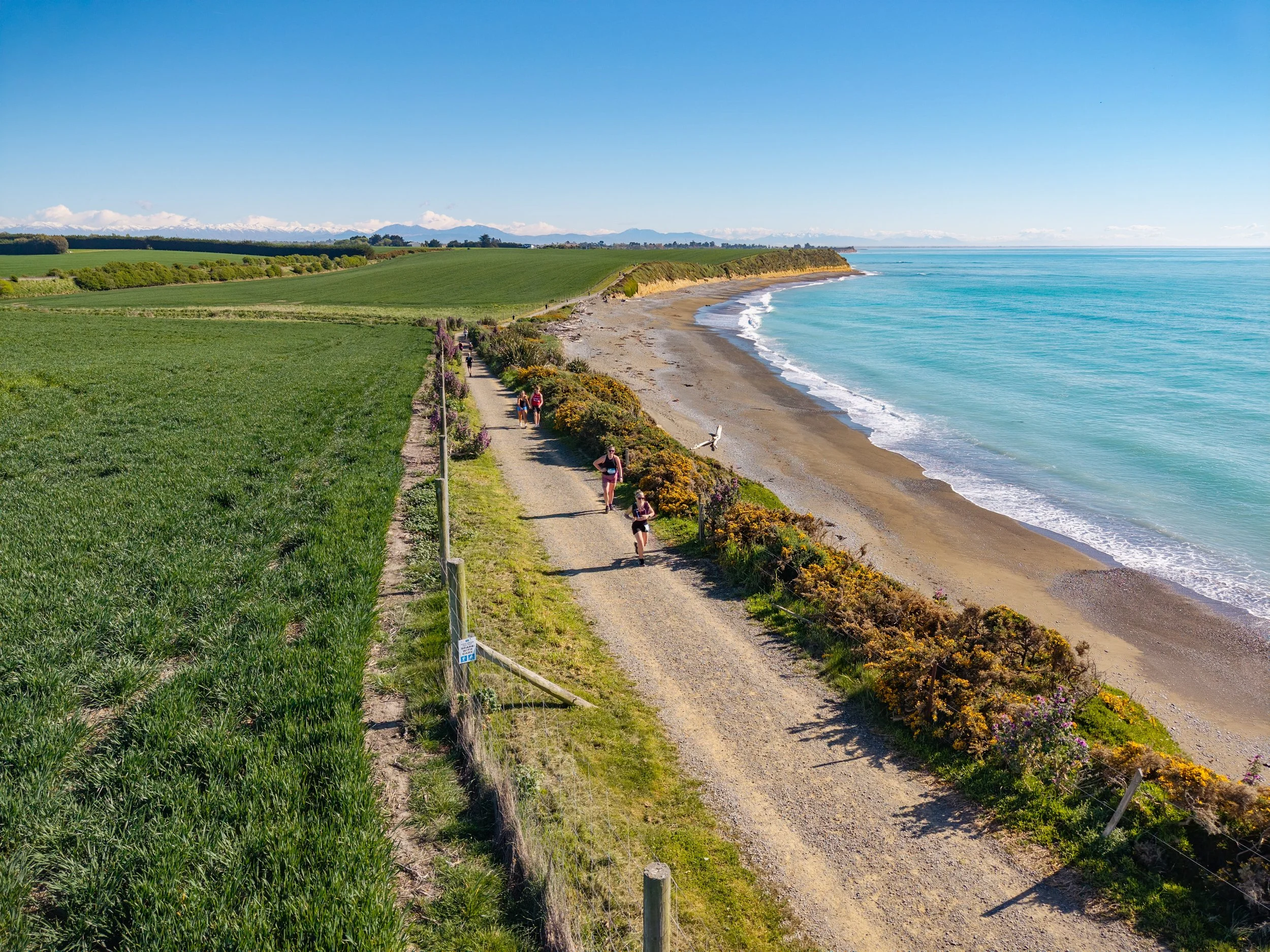 A coastal trail runs alongside a beach with light brown sand and ocean waves, bordered by green fields and flowering bushes, with people jogging and walking.