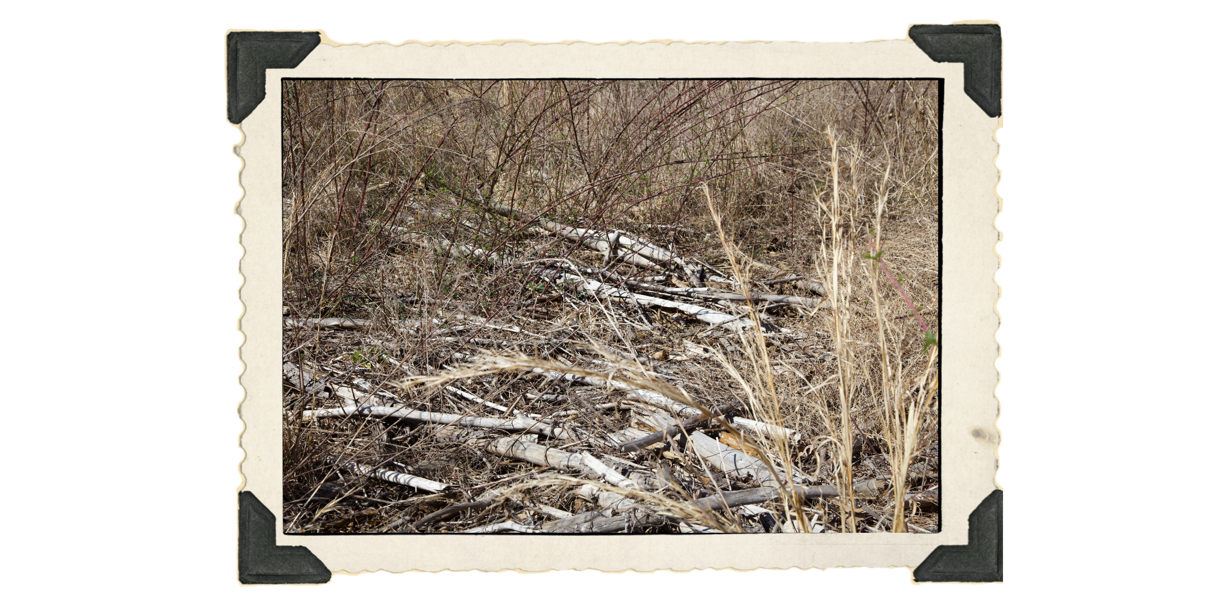 2: Mosaic heaps