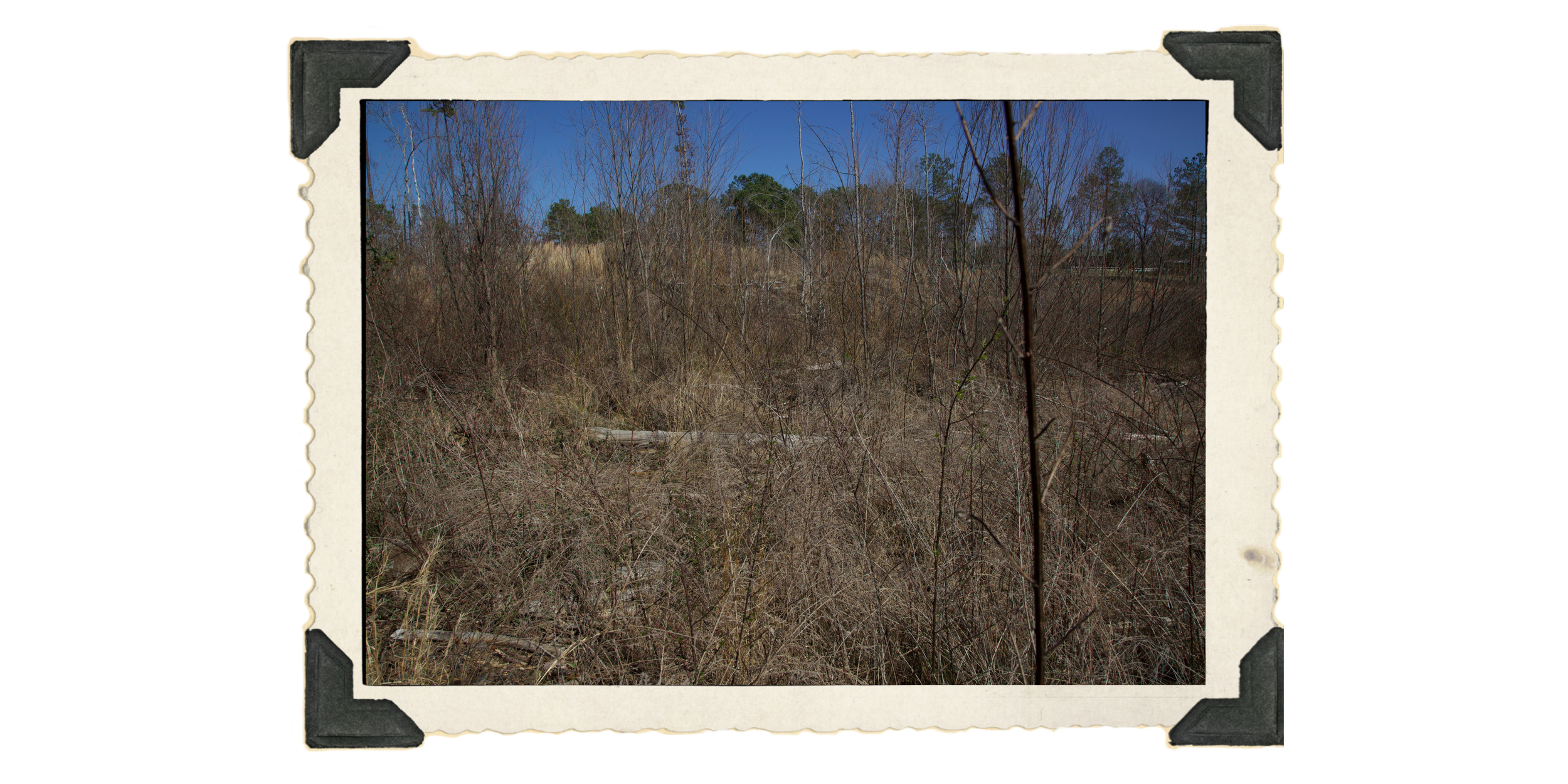 1: It really does resemble a bone yard.