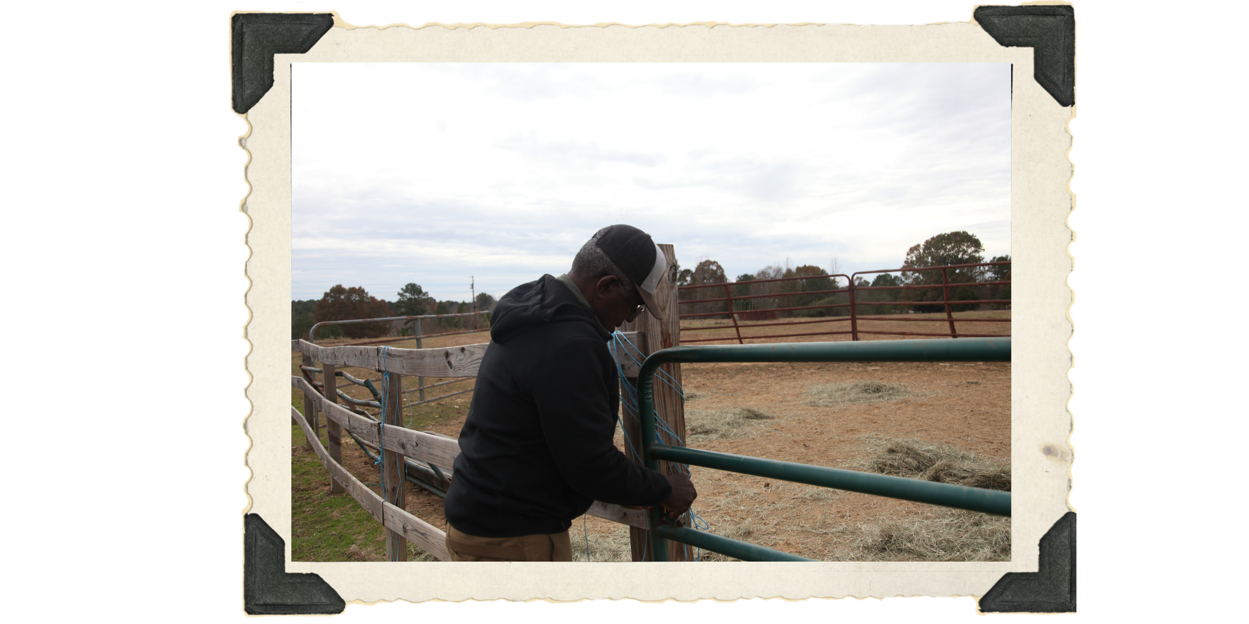Bill takes good care of his herd.