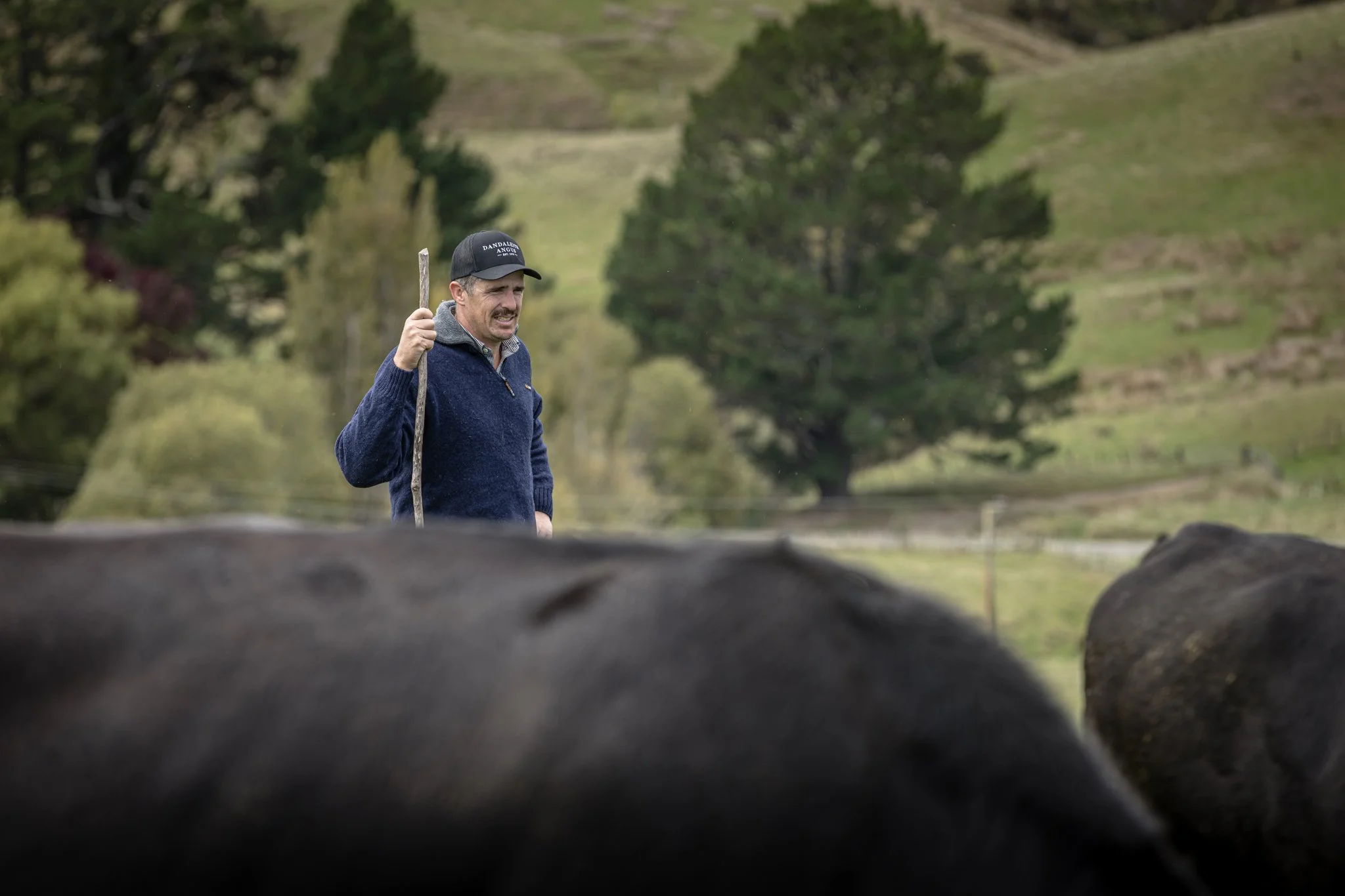 A man holding a stick in a pasture with large rocks and trees in the background.