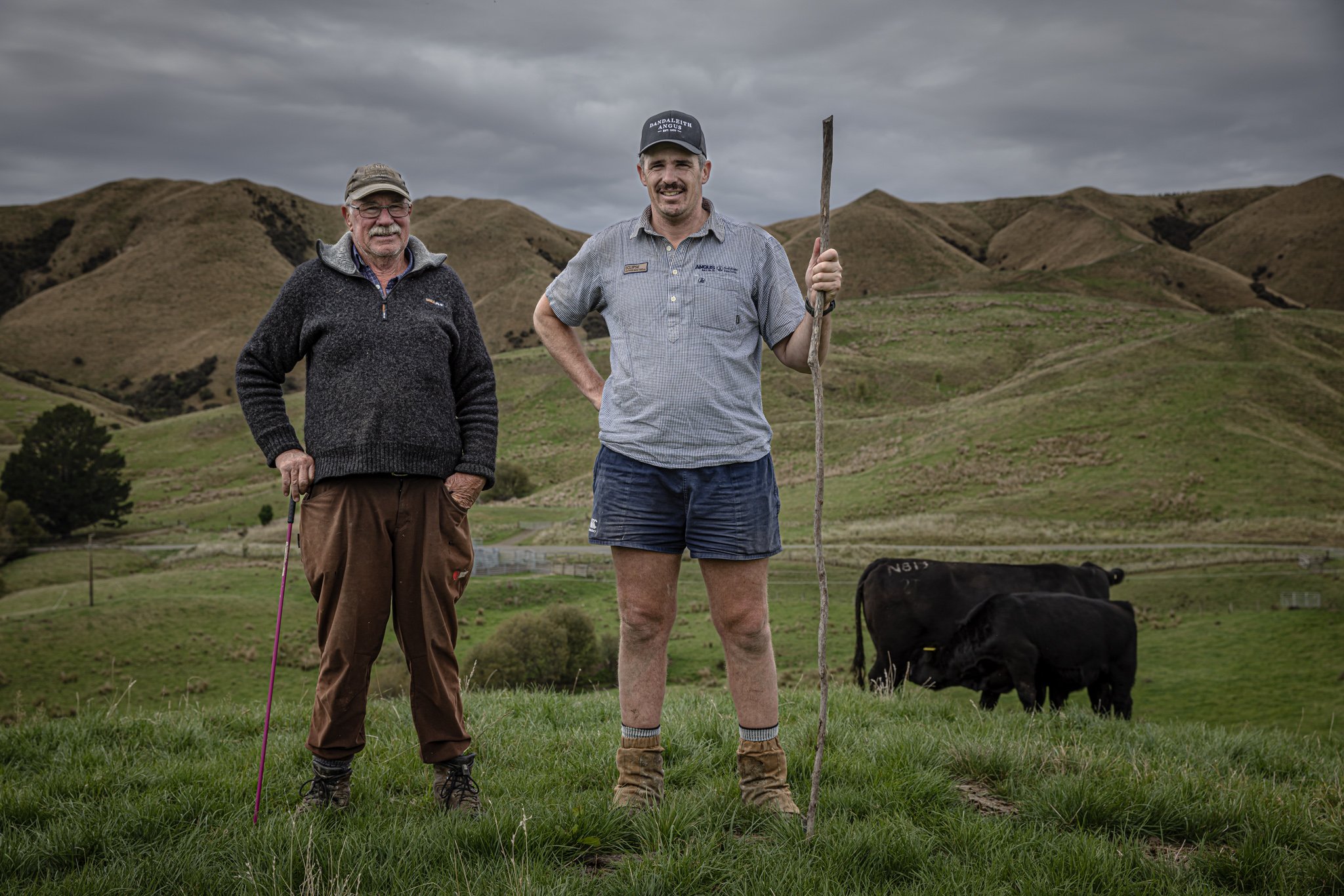 Two men stand on a grassy hillside with rolling hills in the background and black cows grazing behind them. One man is older, wearing glasses, a cap, a dark sweater, and brown pants. The other man is younger, wearing a cap, a short-sleeved shirt, and